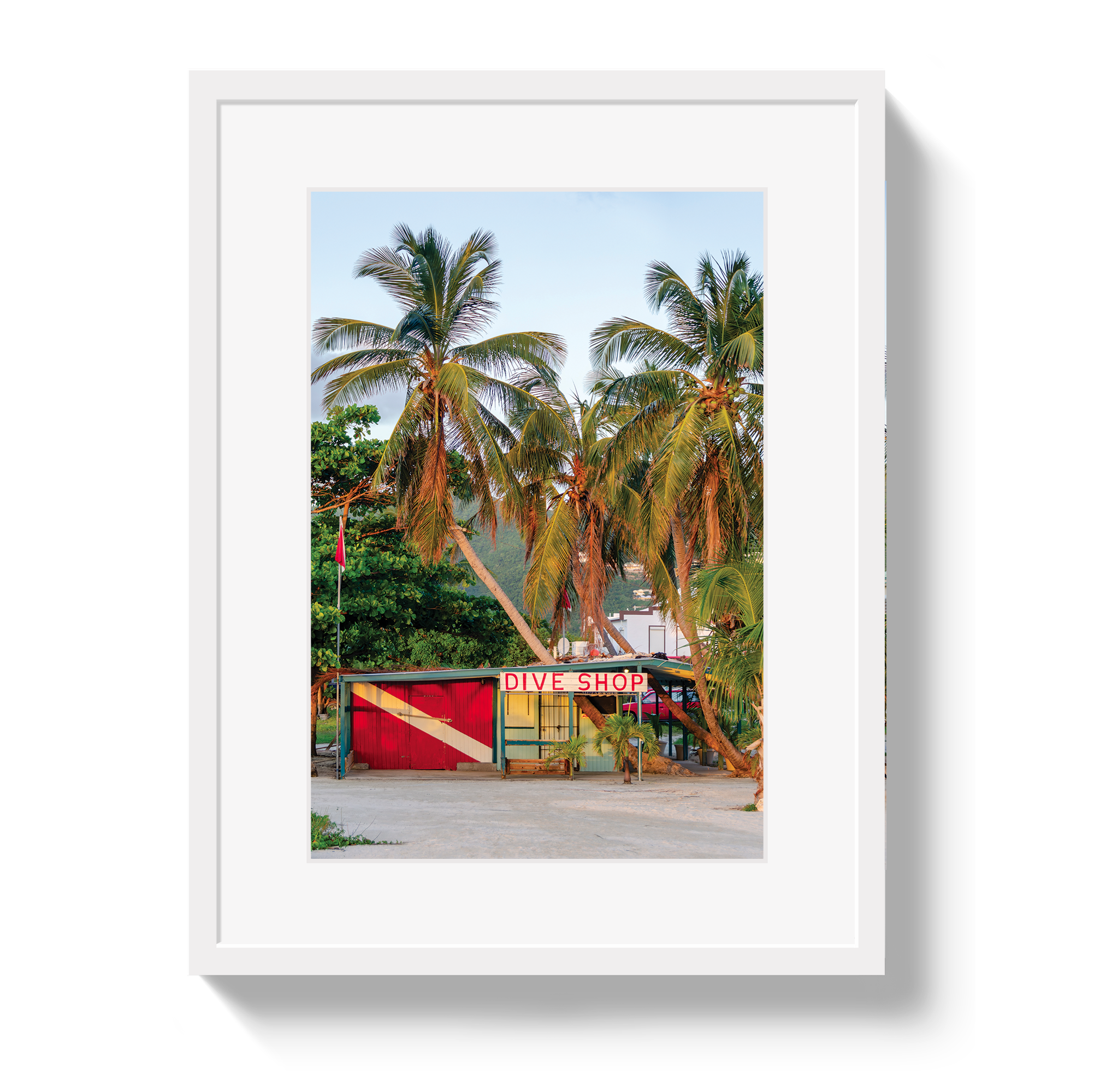Dive Shop by Johnny Vacay - product image 2 for Resin Society