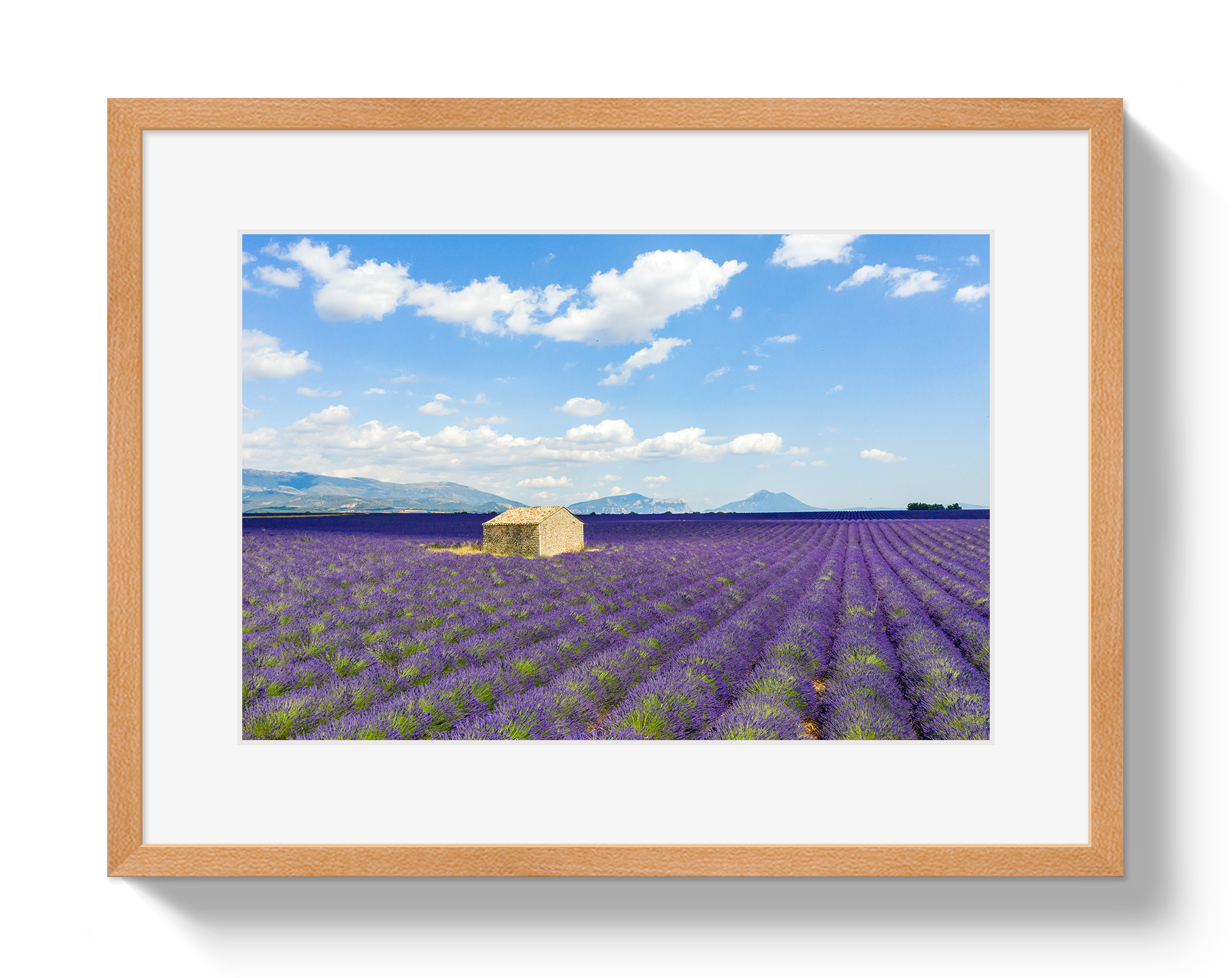 Lavender Fields by Johnny Vacay - product image 3 for Resin Society