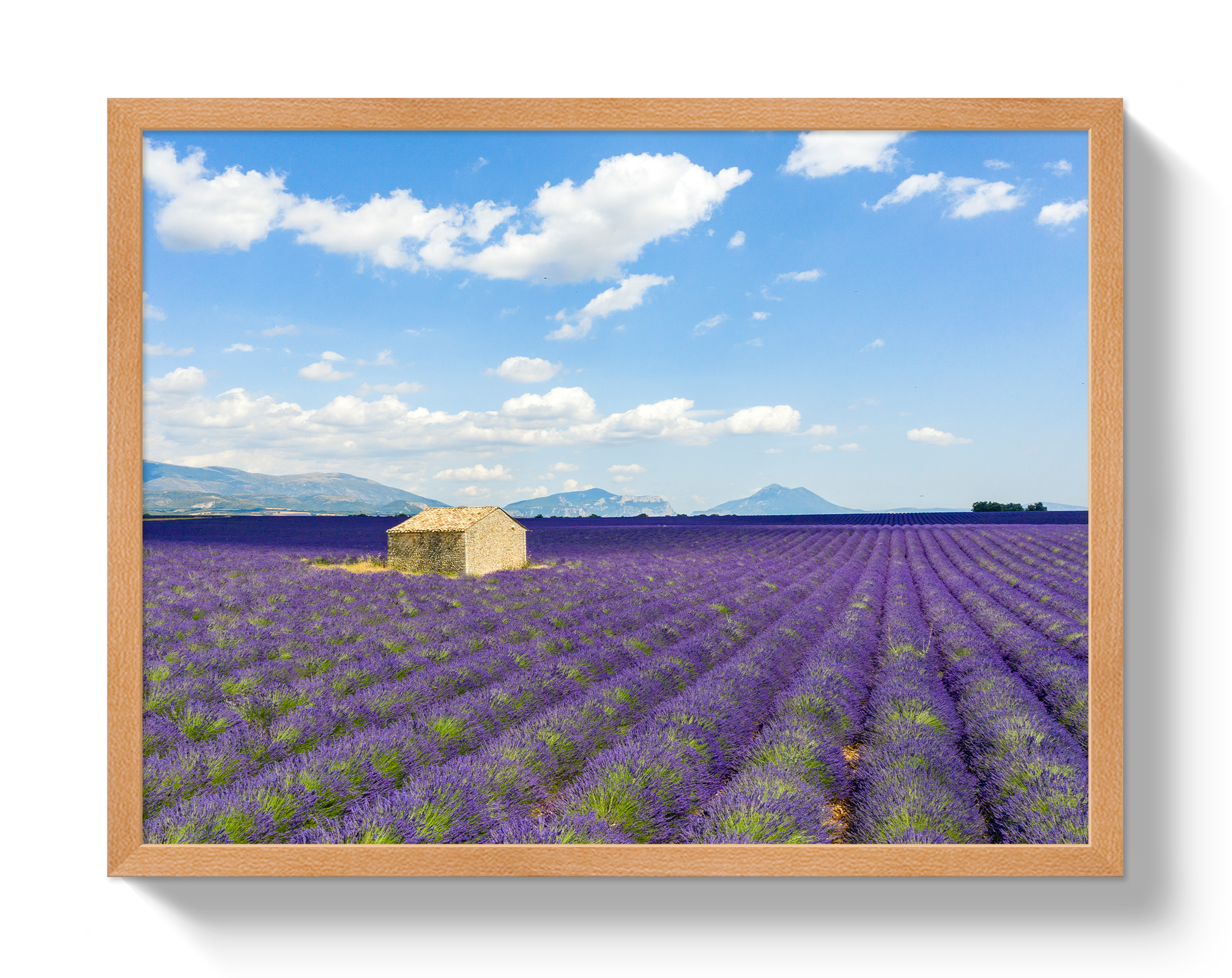 Lavender Fields by Johnny Vacay - product image 6 for Resin Society