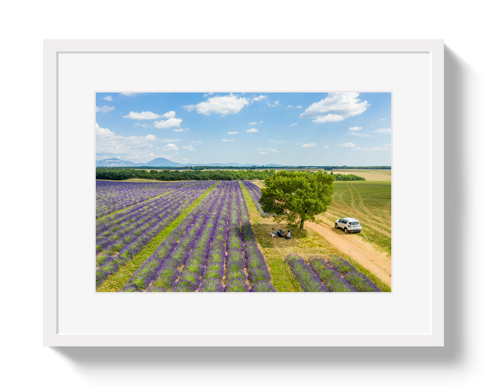 Provence Picnic by Johnny Vacay - product image 2 for Resin Society