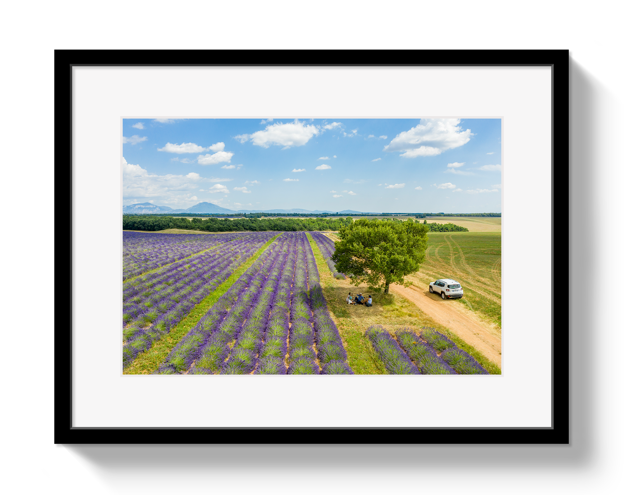 Provence Picnic by Johnny Vacay - main product image for Resin Society