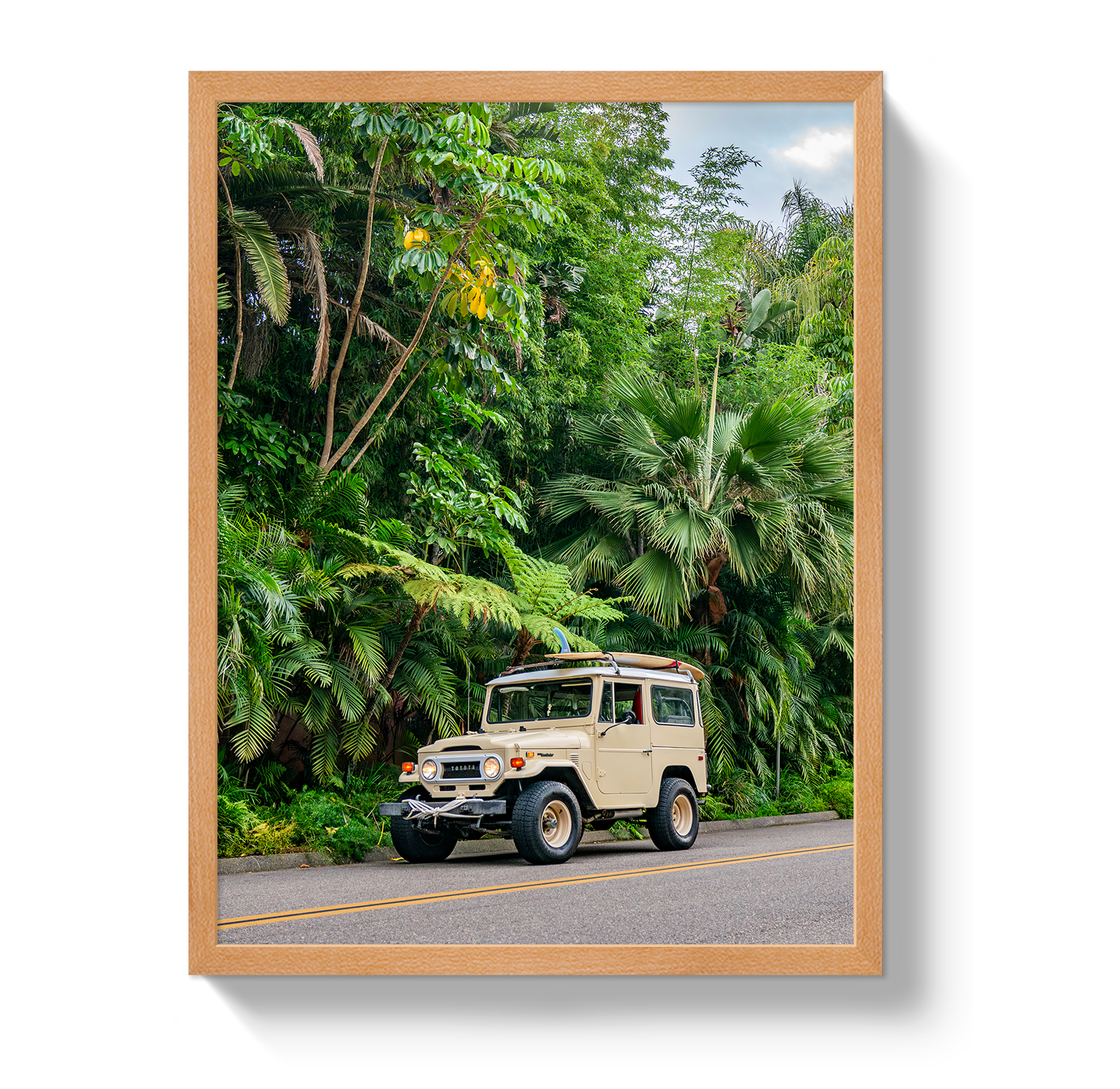 Tropical FJ 2 by Johnny Vacay - product image 6 for Resin Society