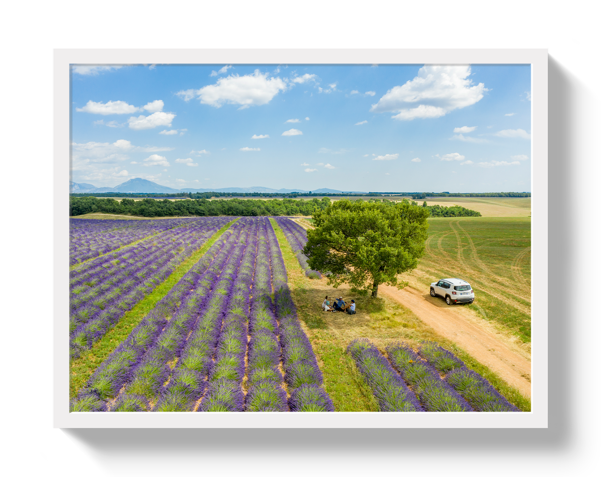 Provence Picnic by Johnny Vacay - product image 5 for Resin Society