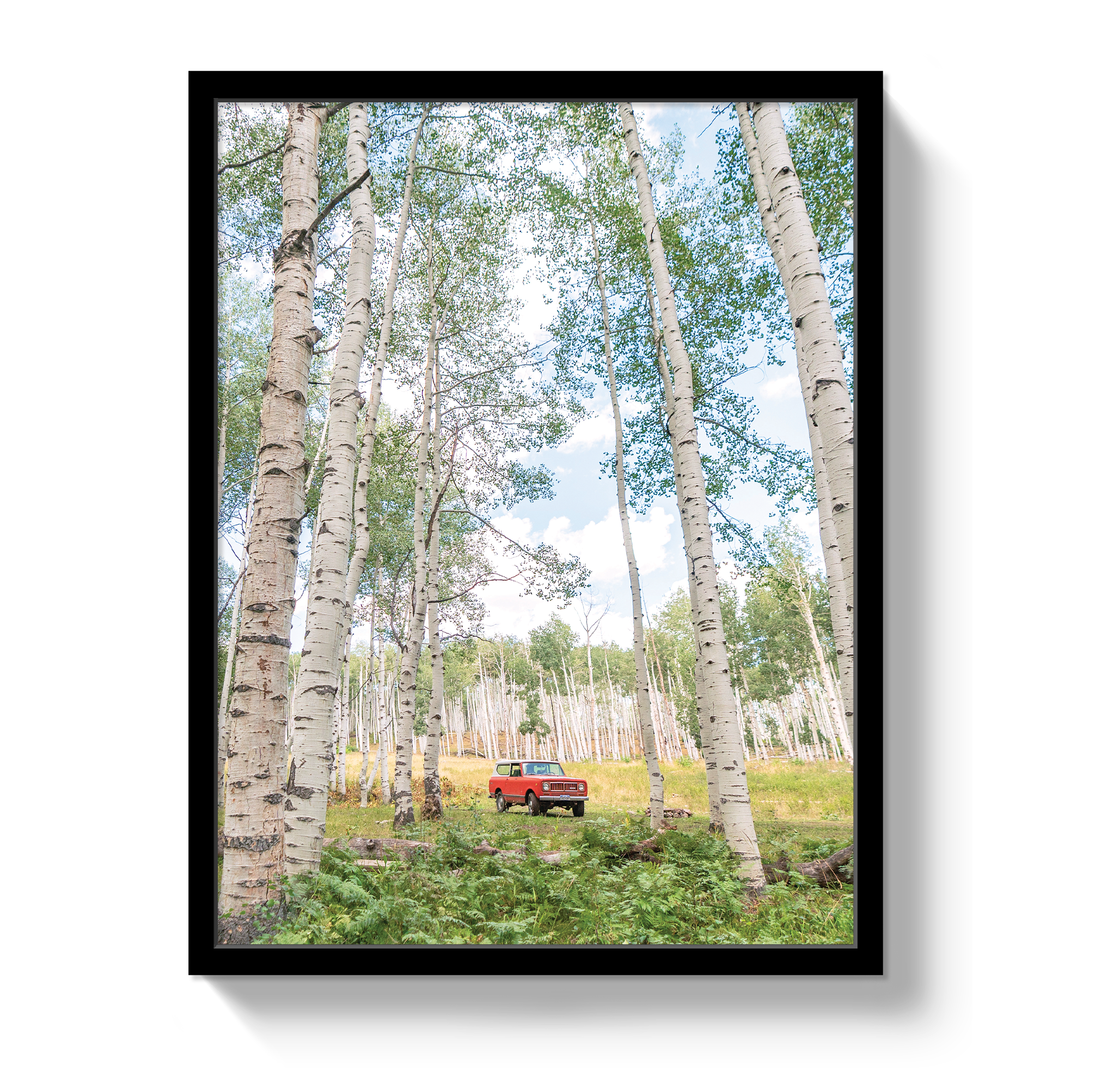 Aspen Scout by Johnny Vacay - product image 4 for Resin Society