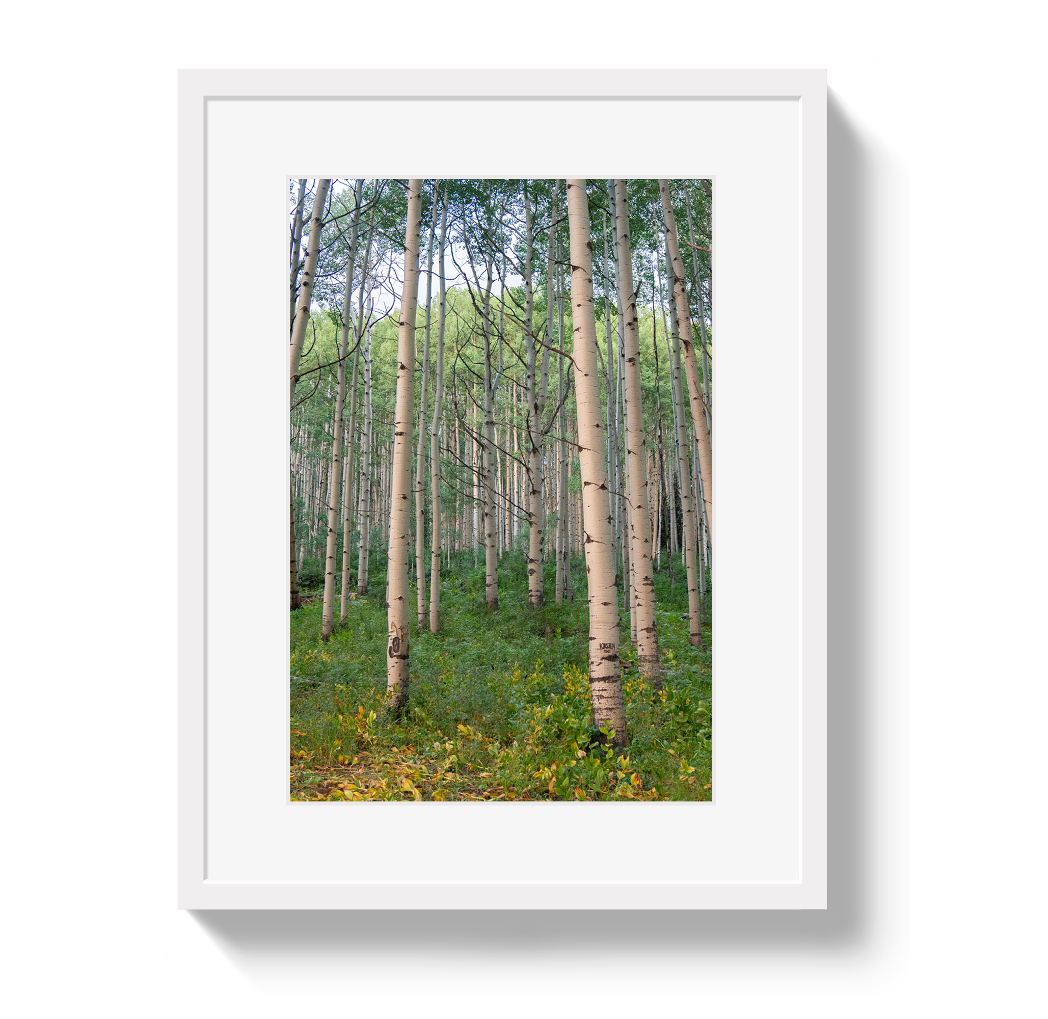 Aspen Grove by Johnny Vacay - product image 2 for Resin Society