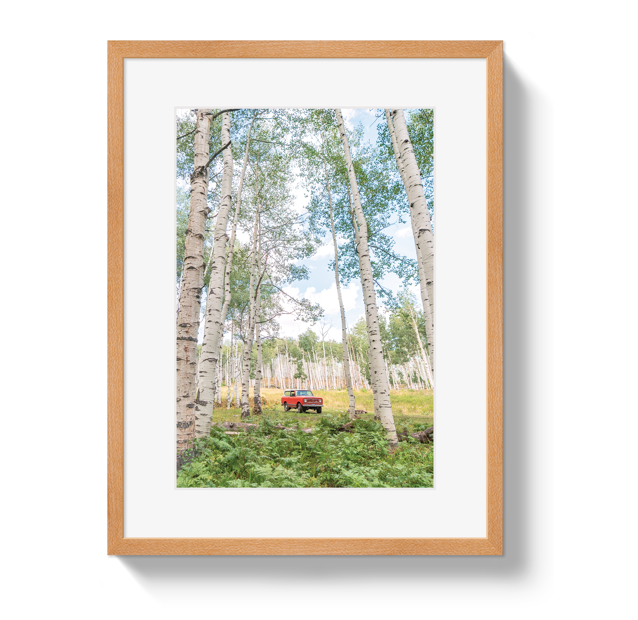 Aspen Scout by Johnny Vacay - product image 3 for Resin Society