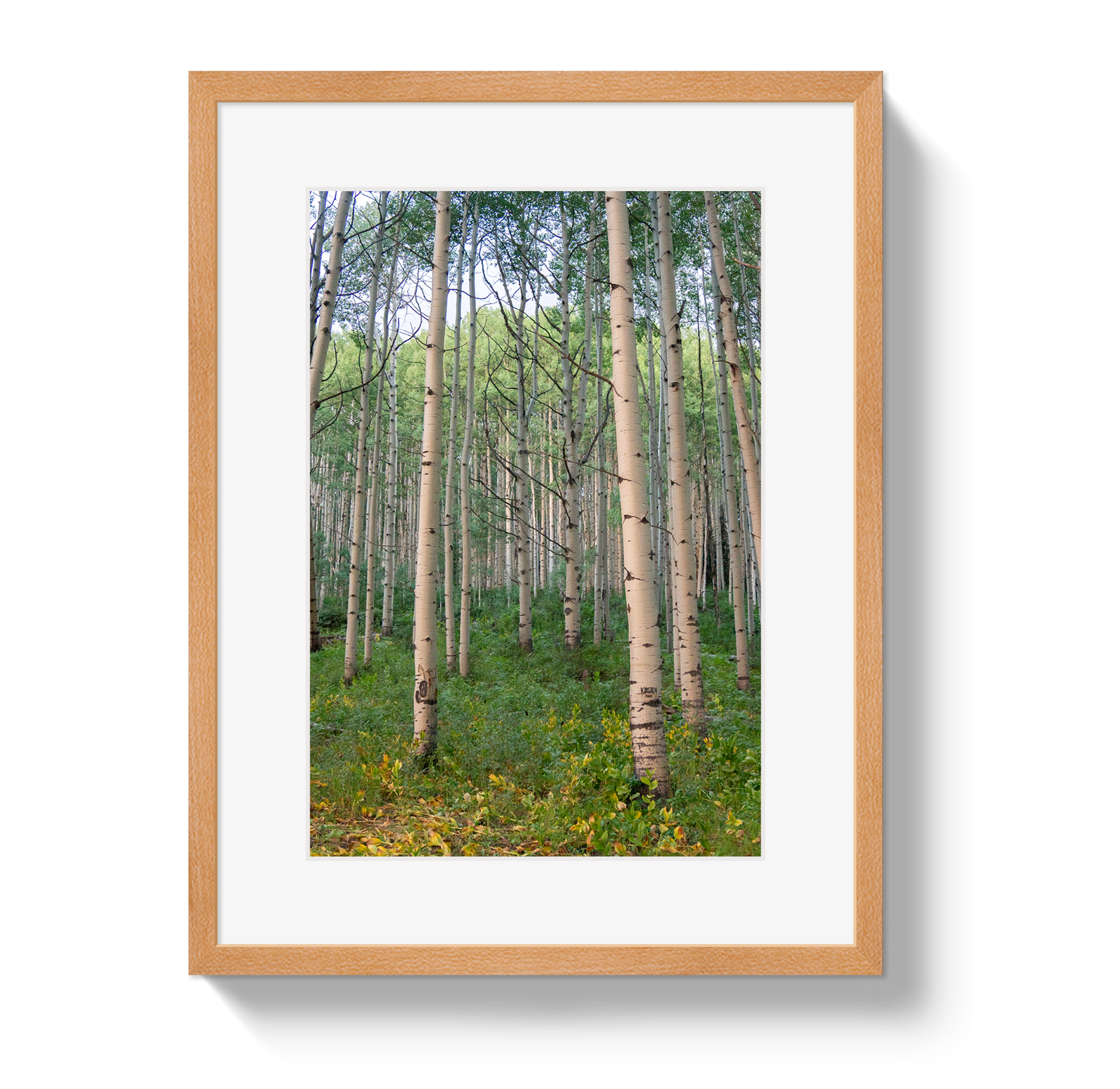 Aspen Grove by Johnny Vacay - product image 3 for Resin Society
