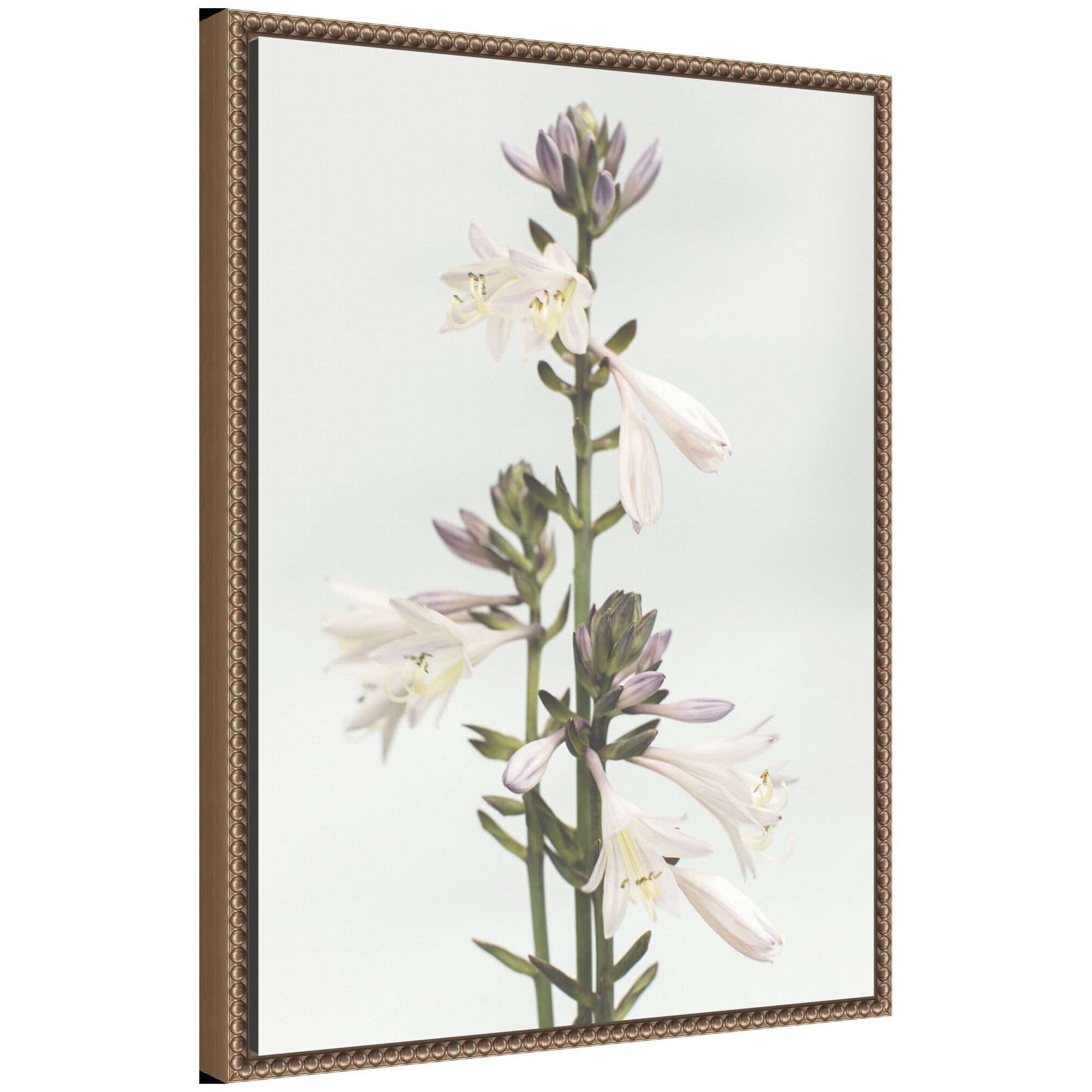 Sylvie Hosta Framed Canvas floral art print with vintage beaded white frame