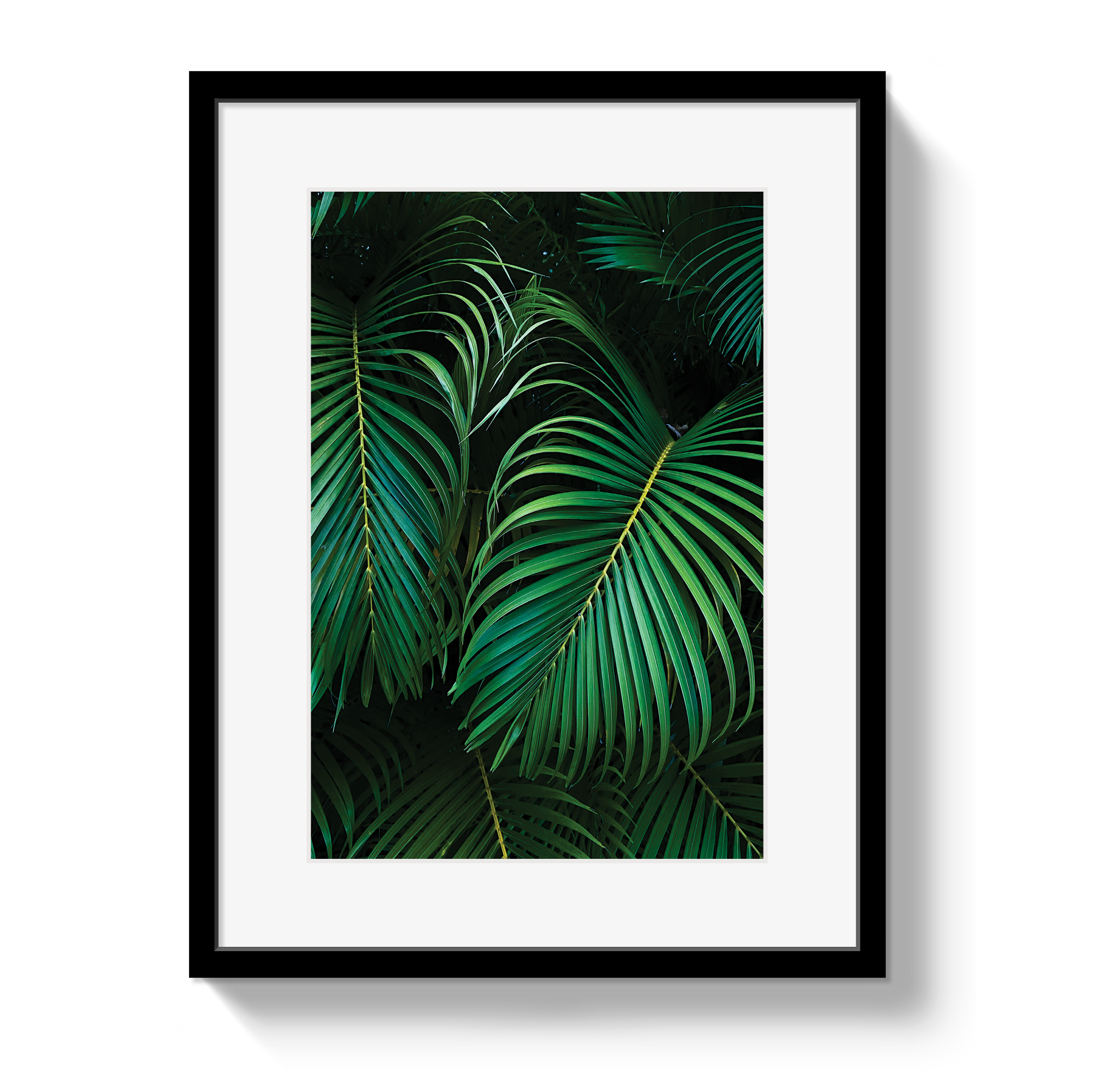 Palm by Johnny Vacay - product image 2 for Resin Society