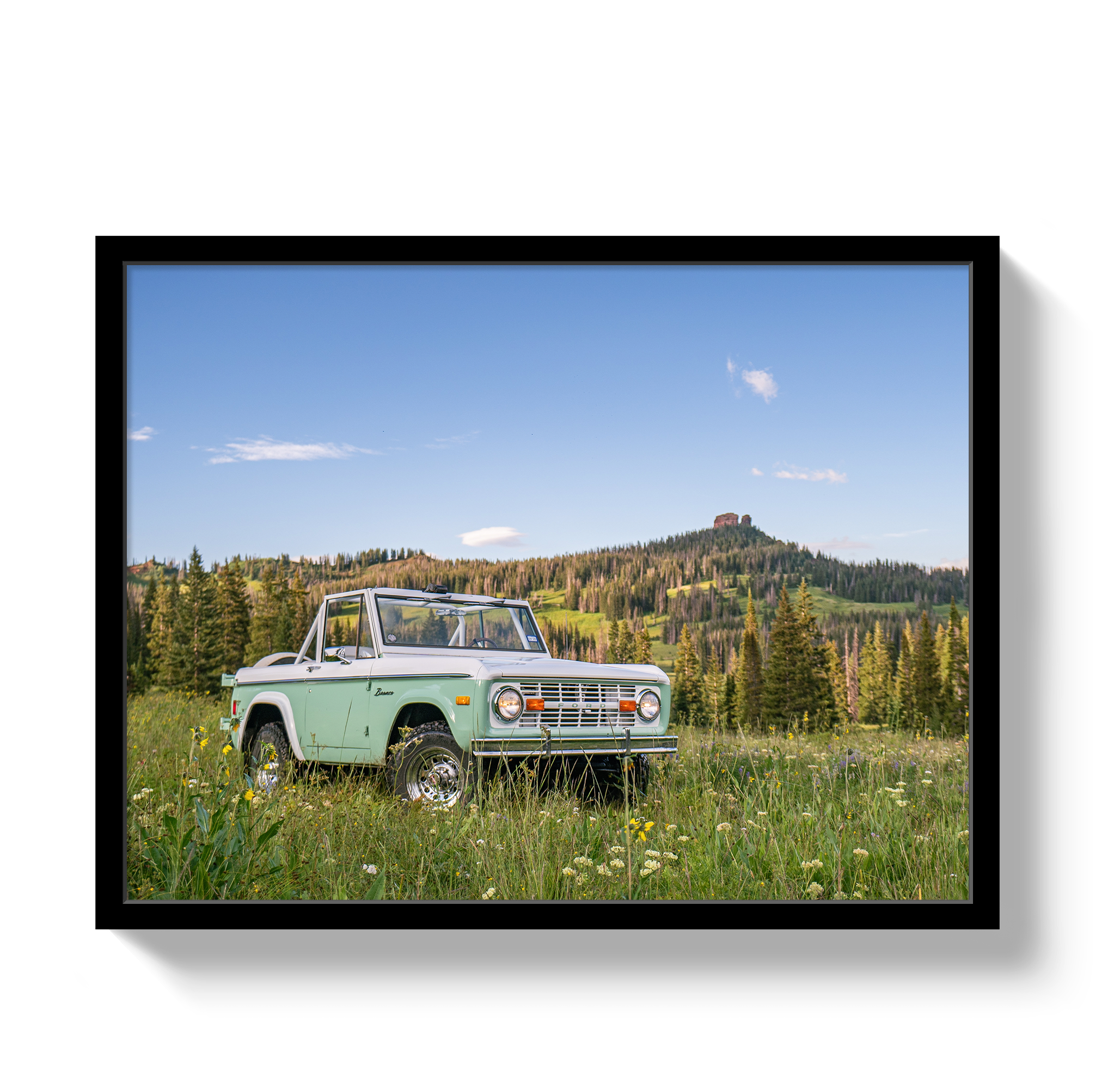 Bronco View 2 by Johnny Vacay - product image 4 for Resin Society