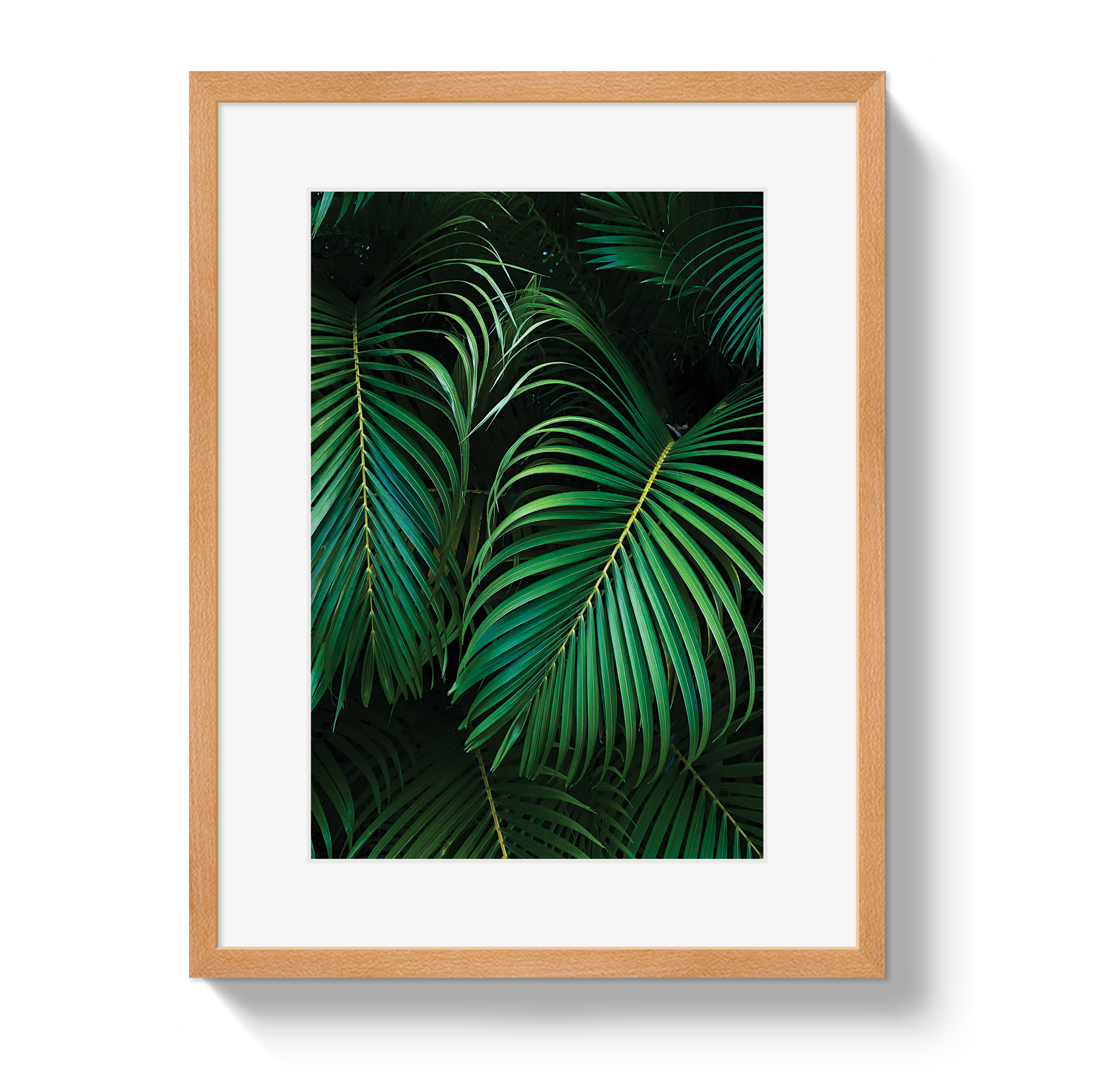 Palm by Johnny Vacay - product image 3 for Resin Society