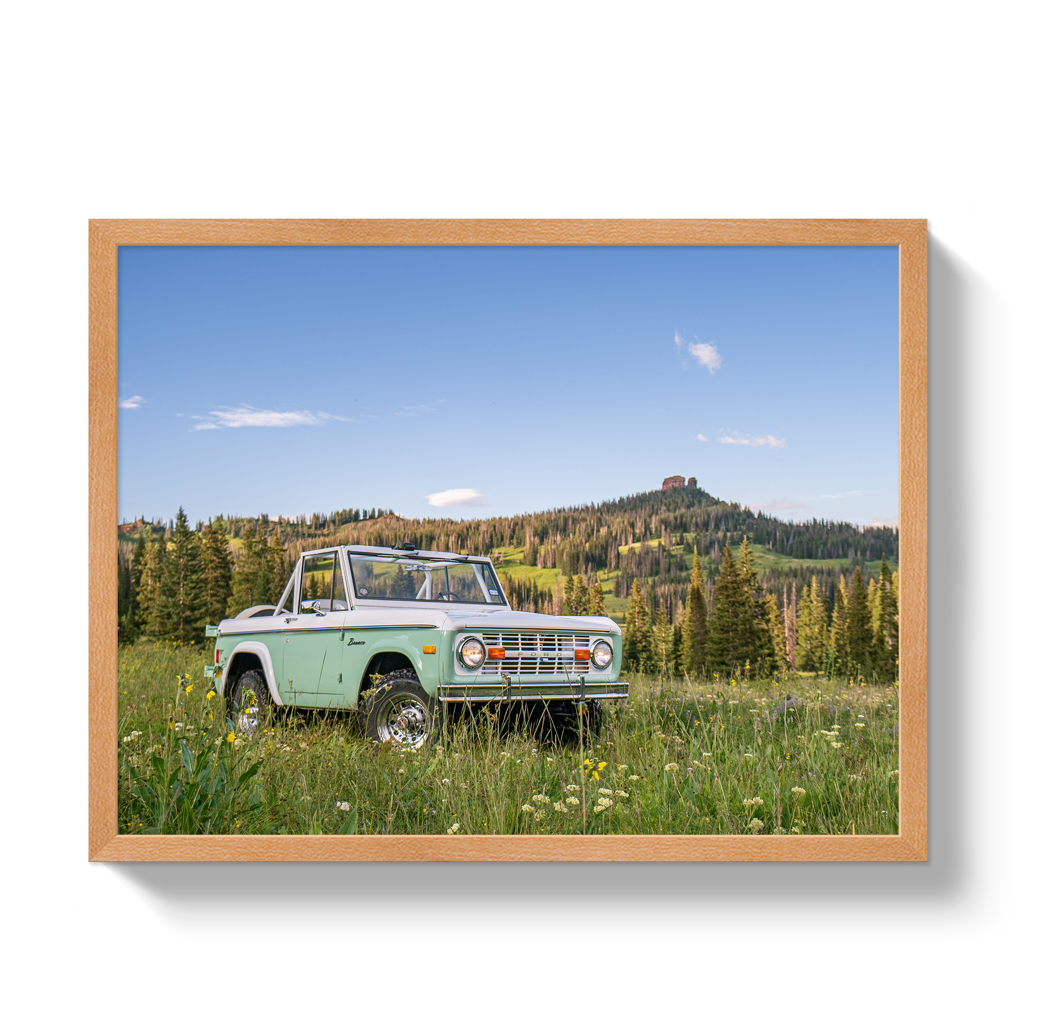 Bronco View 2 by Johnny Vacay - product image 6 for Resin Society