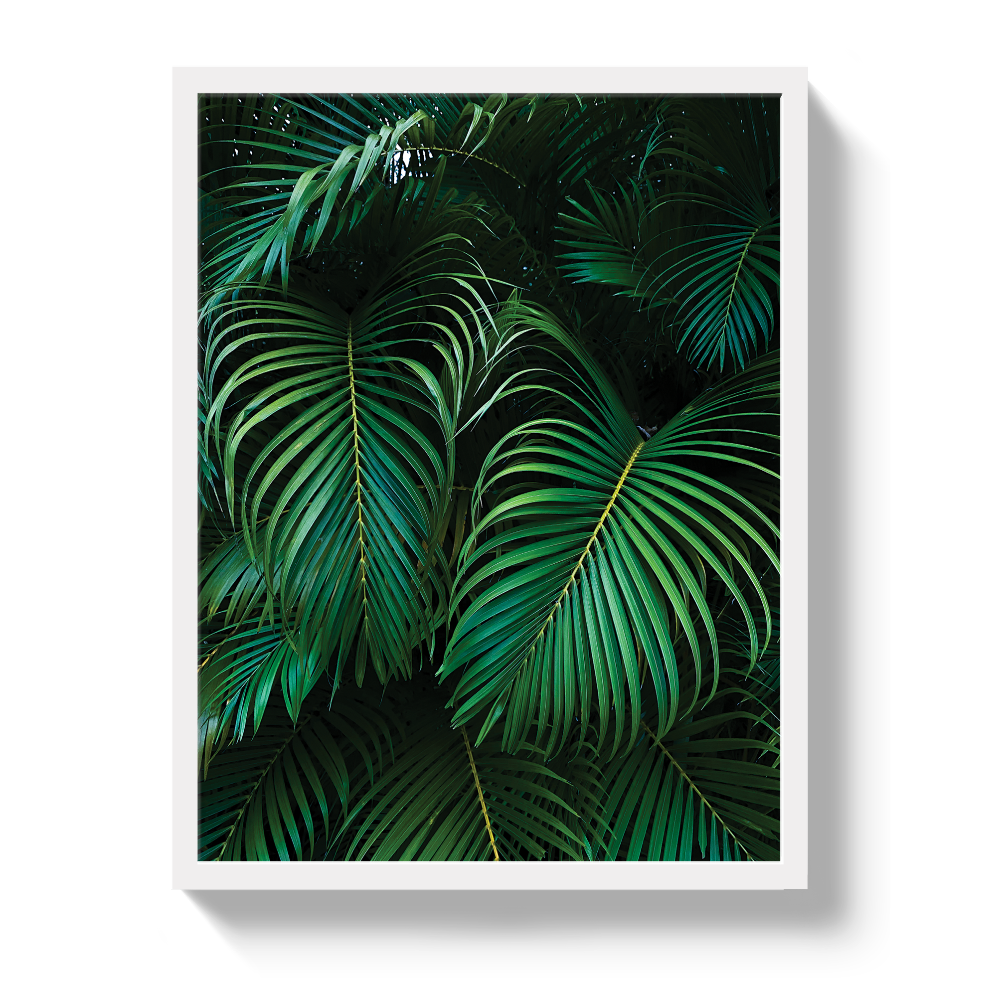 Palm by Johnny Vacay - product image 4 for Resin Society
