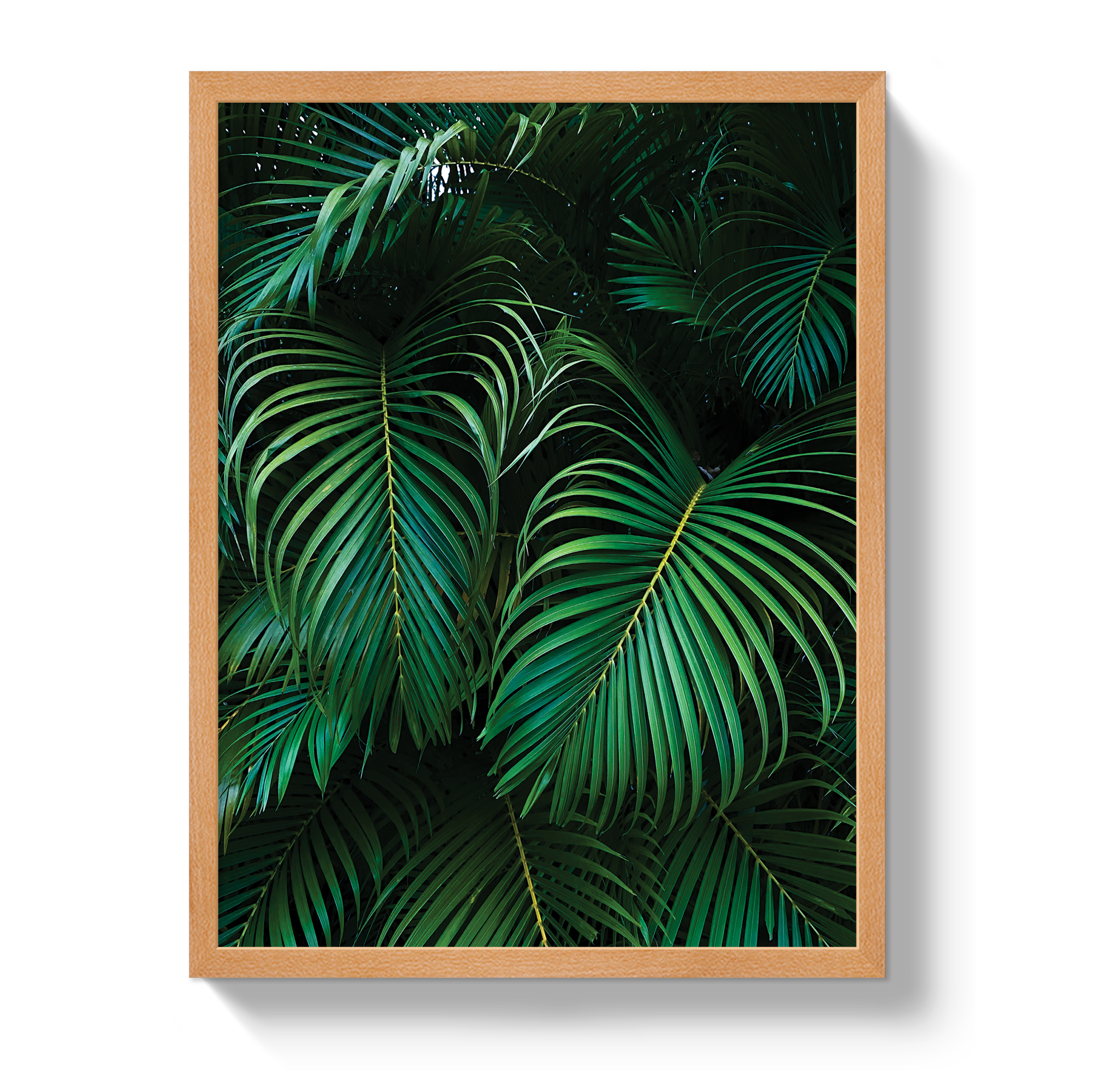 Palm by Johnny Vacay - product image 6 for Resin Society