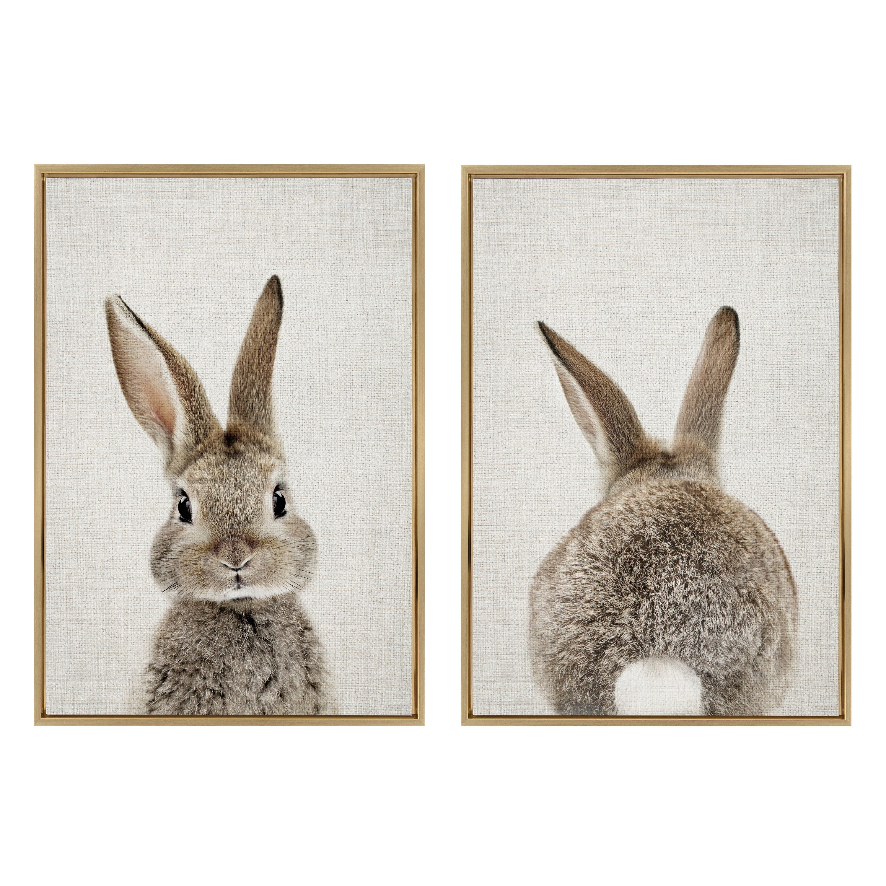 Sylvie Bunny Portrait and Bunny Tail Framed Canvas Art Set by Amy Peterson Art Studio
