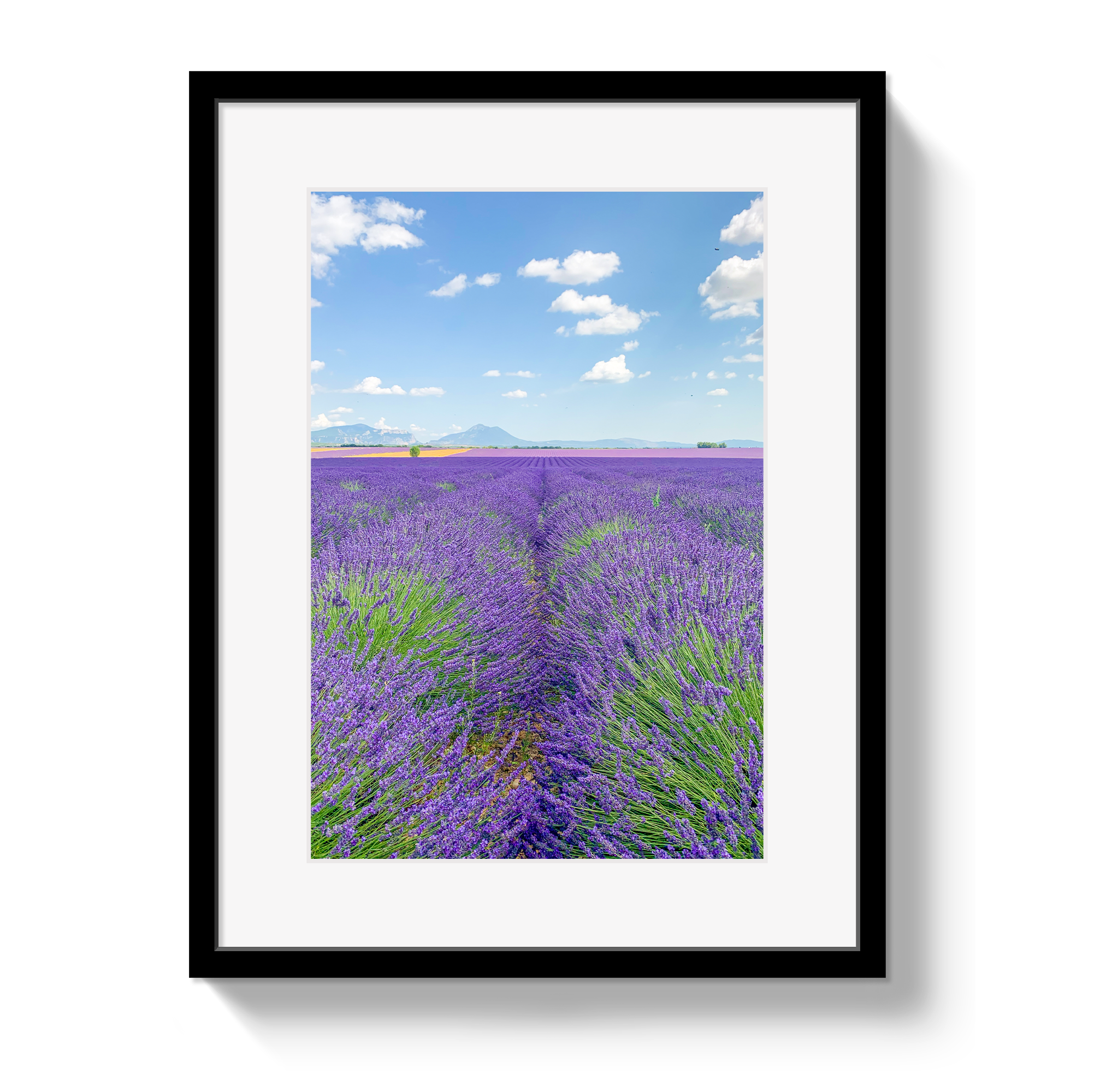 Lavender Fields 2 by Johnny Vacay - main product image for Resin Society
