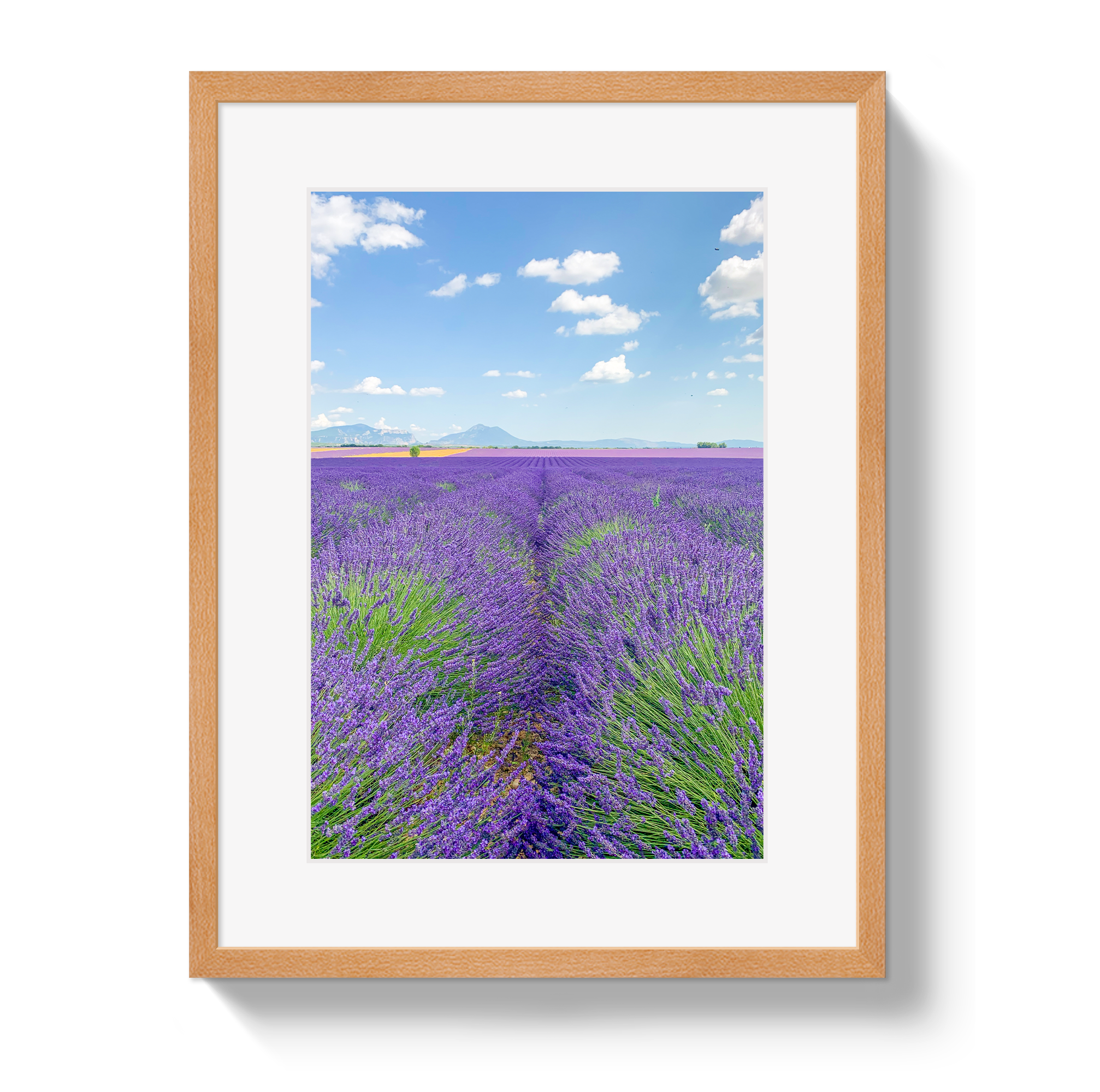 Lavender Fields 2 by Johnny Vacay - product image 3 for Resin Society