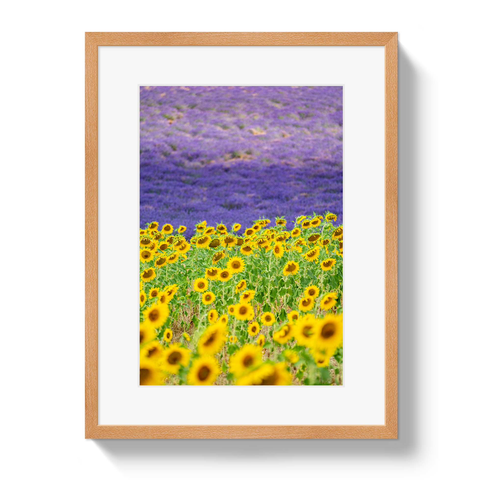 Sun and Lavender by Johnny Vacay - product image 3 for Resin Society