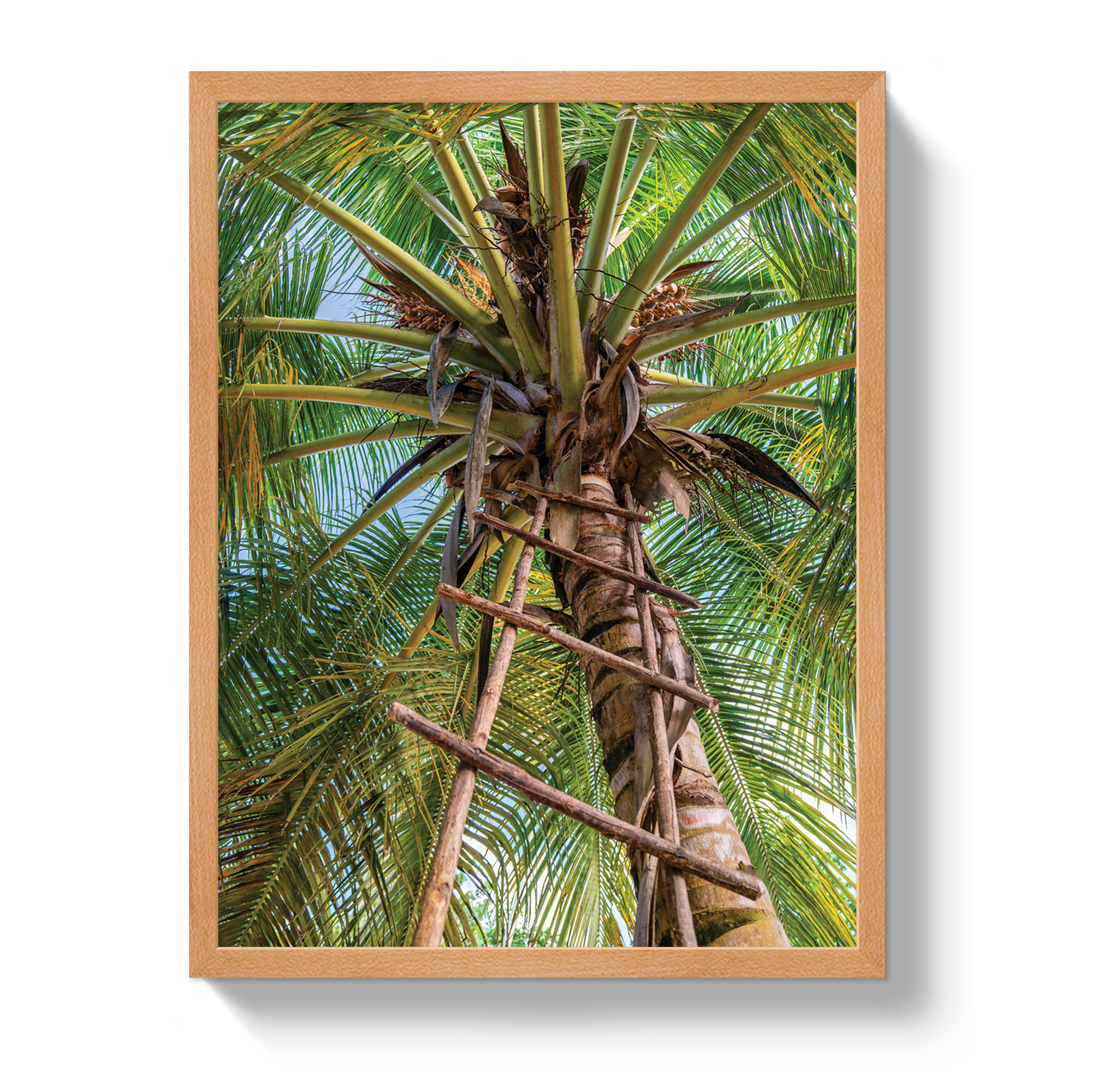 Corporate Ladder by Johnny Vacay - product image 6 for Resin Society