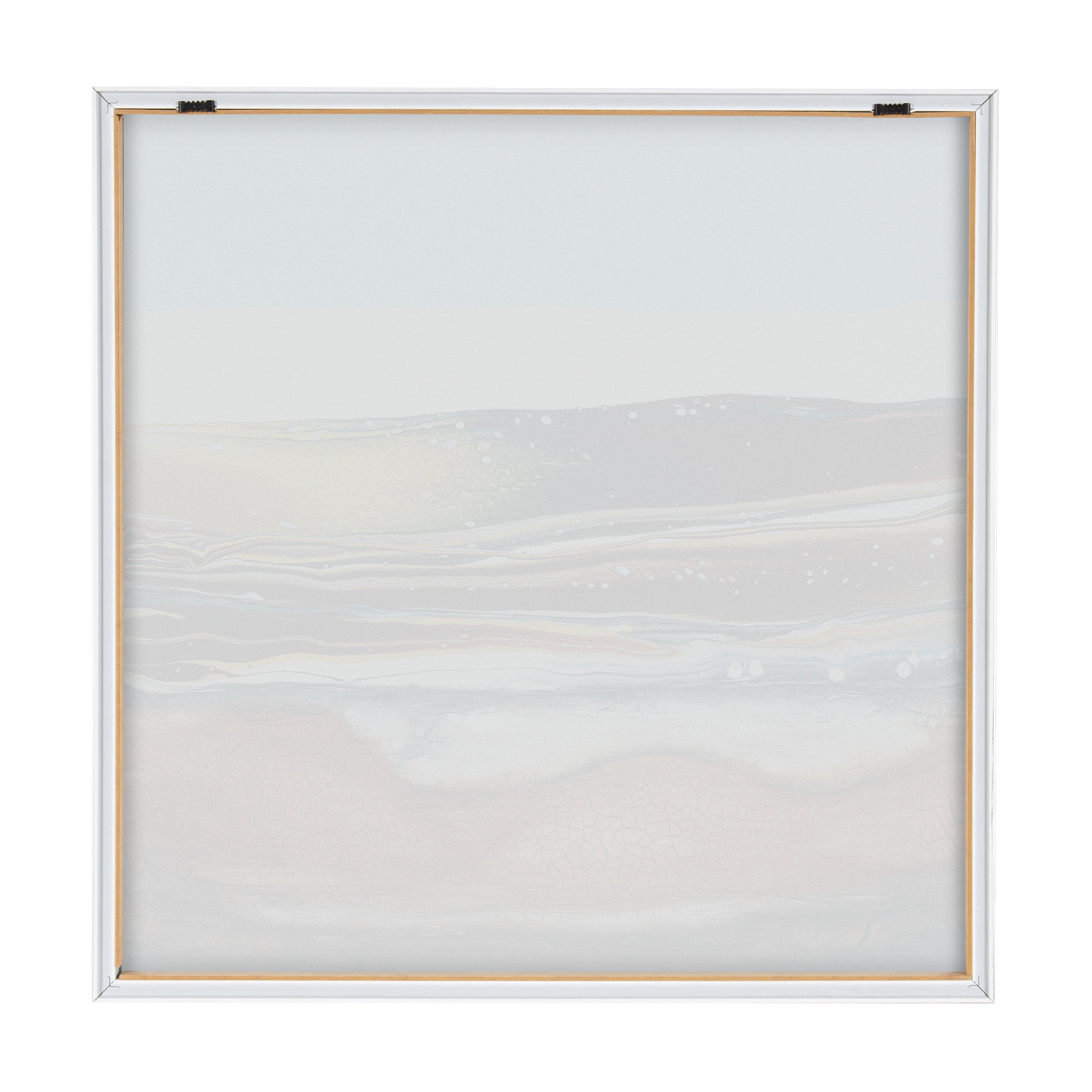 Blake Sonoran Desert Framed Printed Art by Xizhou Xie