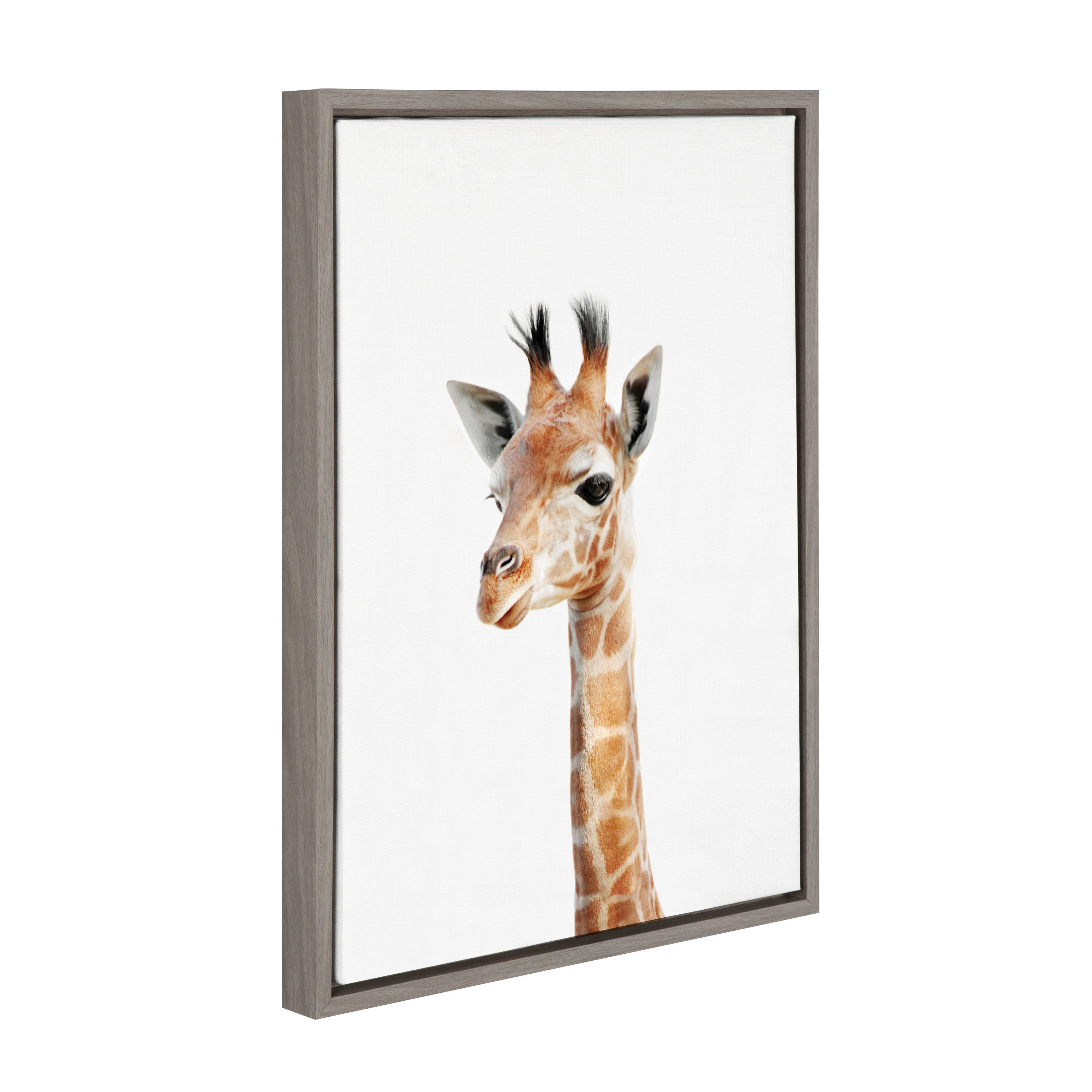 Sylvie Baby Giraffe Framed Canvas by Amy Peterson by kateandlaurel - product image 12 for Resin Society