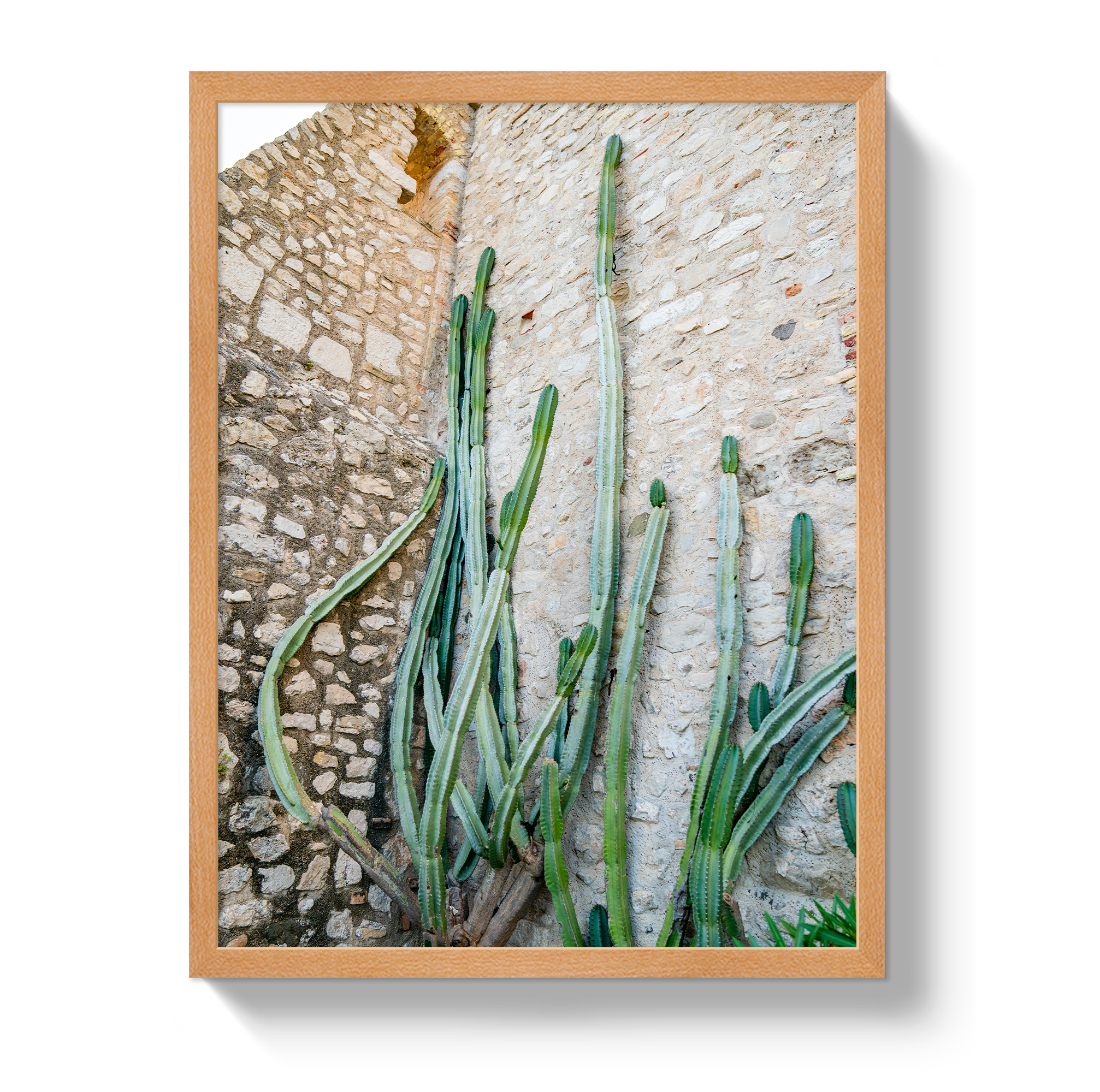 Cactus Capri by Johnny Vacay - product image 6 for Resin Society