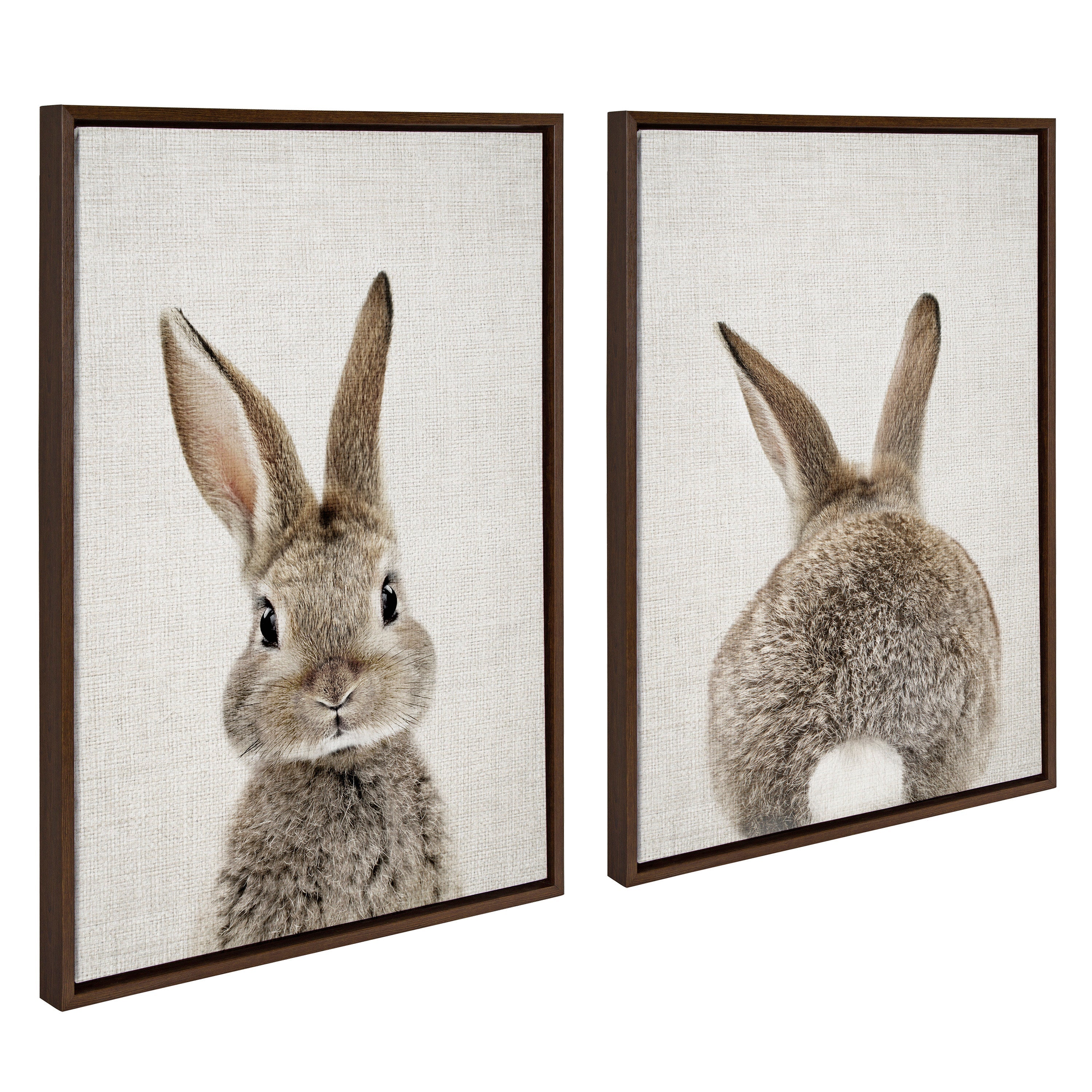 Sylvie Bunny Portrait and Bunny Tail Framed Canvas Art Set by Amy Peterson Art Studio