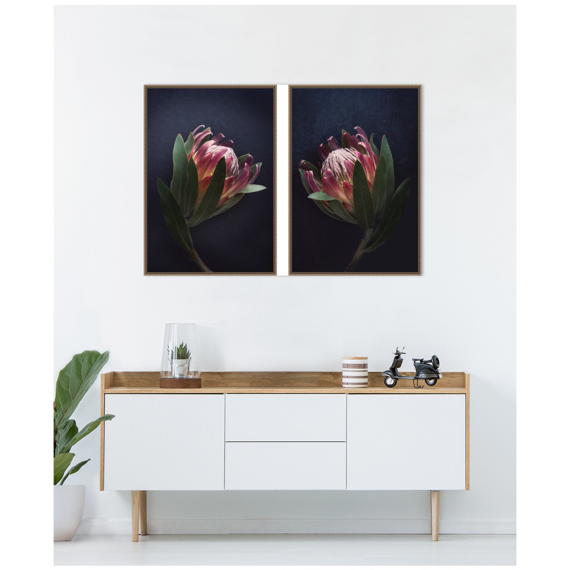 Moody ProteaNo.
1 & No.
2 2 Piece Framed Canvas Wall Art Set by Emiko and Mark Franzen F2 Images
