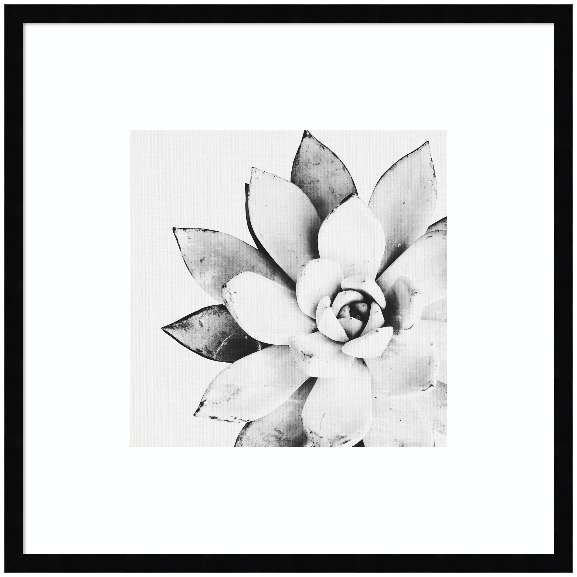Modern Succulent by Tai Prints Framed Wall Art Print