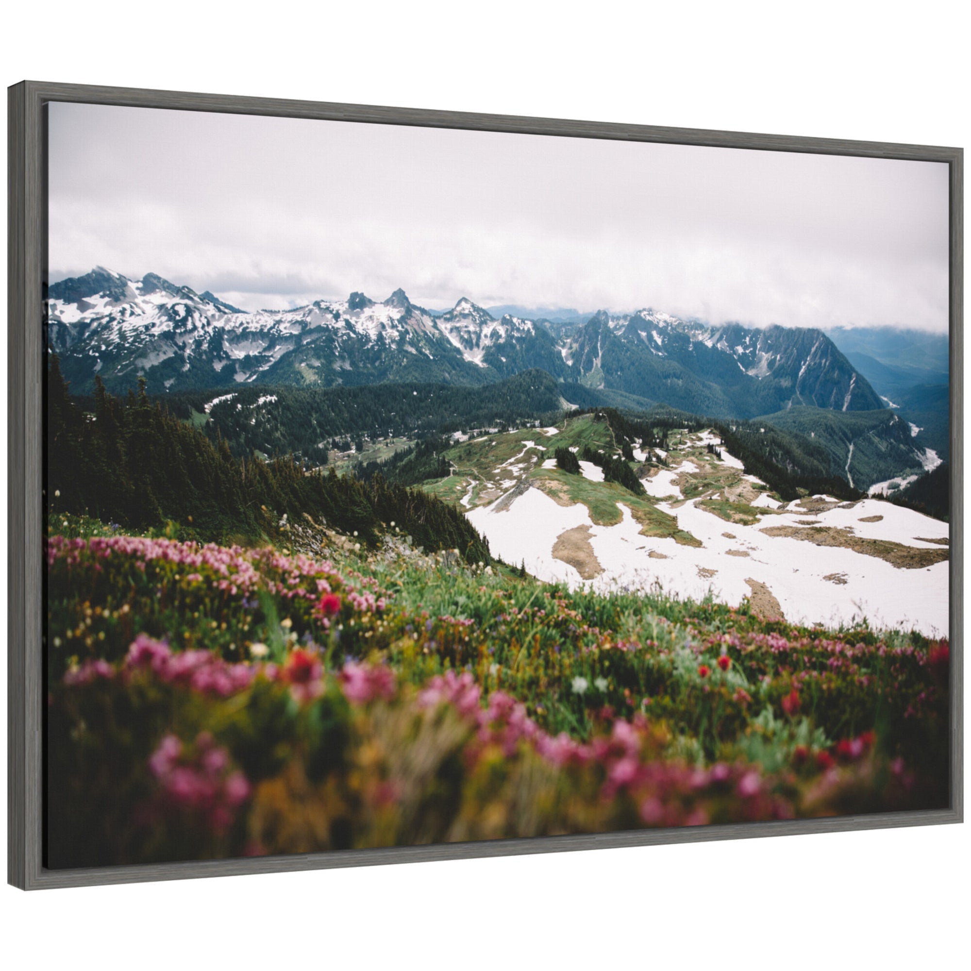 Sylvie Snow Covered Mountain Landscape framed canvas art by Patricia Hasz showing snowy mountain peaks in a natural color palette.