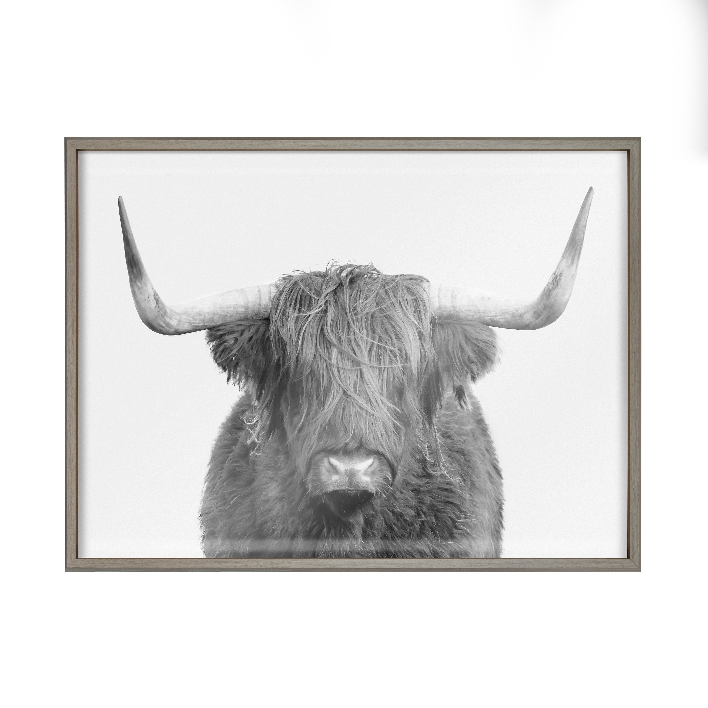 Blake Highland Cow Portrait Framed Printed Art by Amy Peterson Art Studio