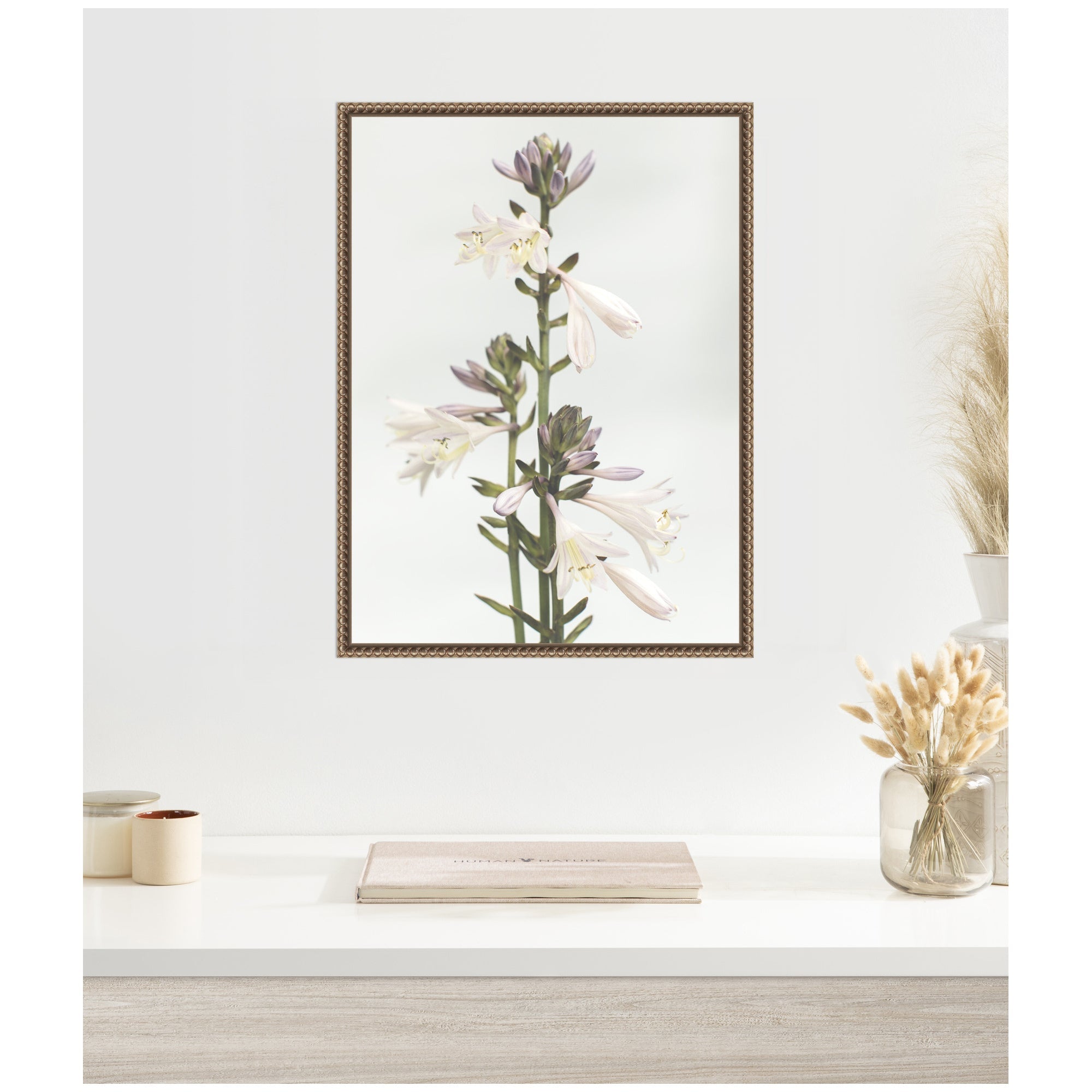 Sylvie Hosta Framed Canvas by Alicia Abla