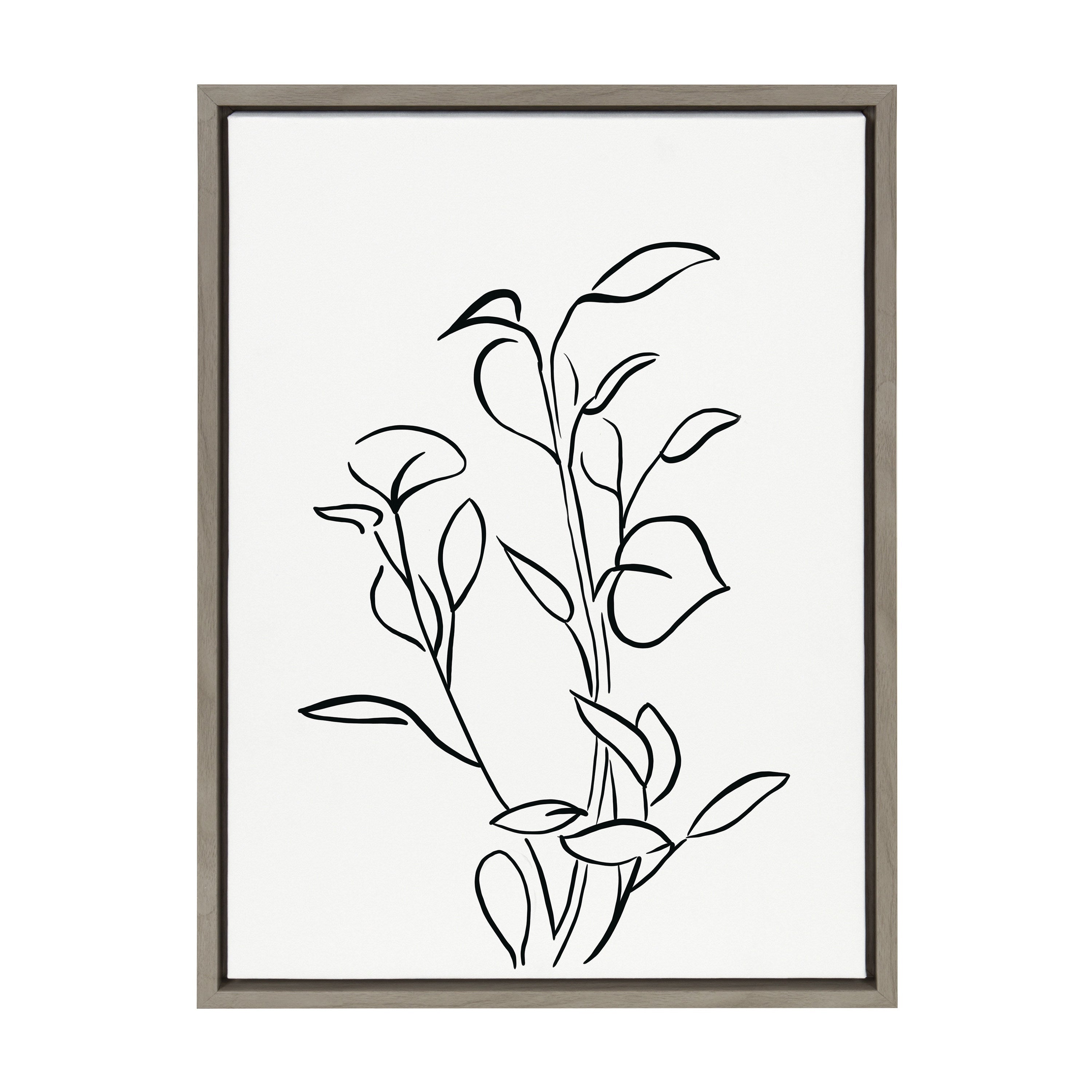 Sylvie Botanical Sketch Print No 2 Framed Canvas