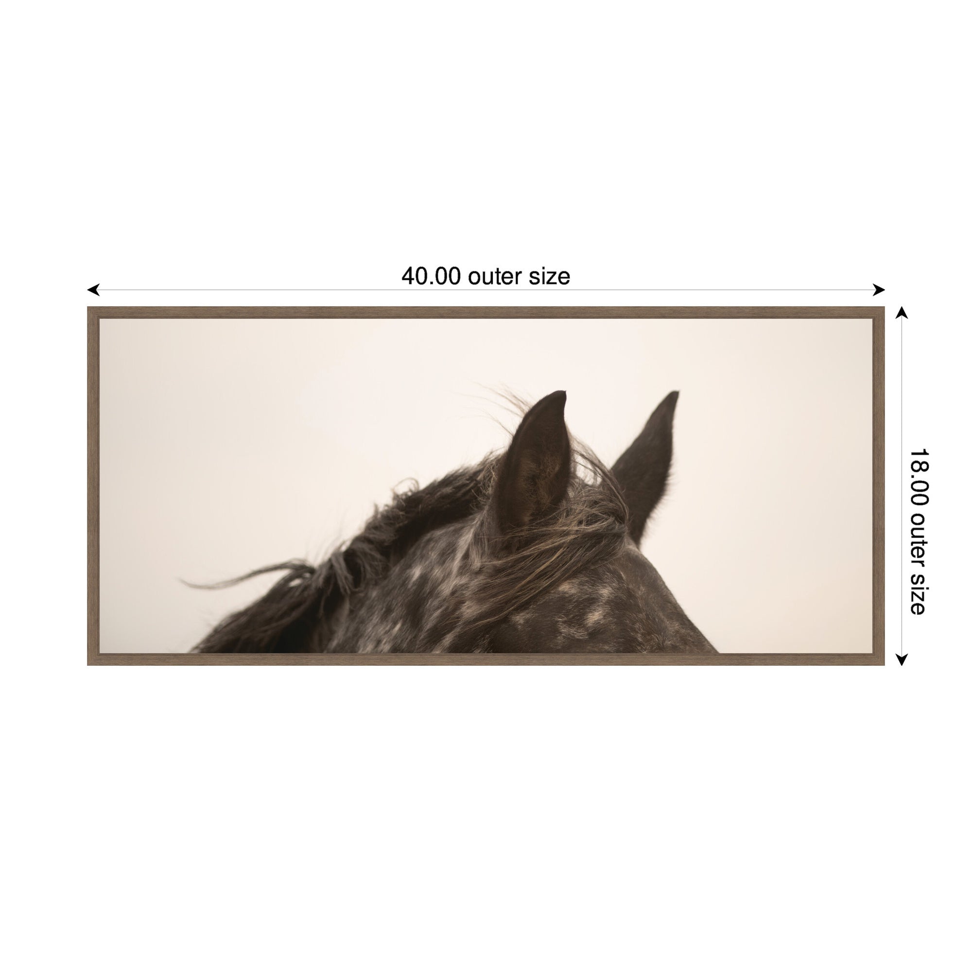 Horse Ears Panel by Crystal Lynn Collins Framed Canvas Wall Art Print