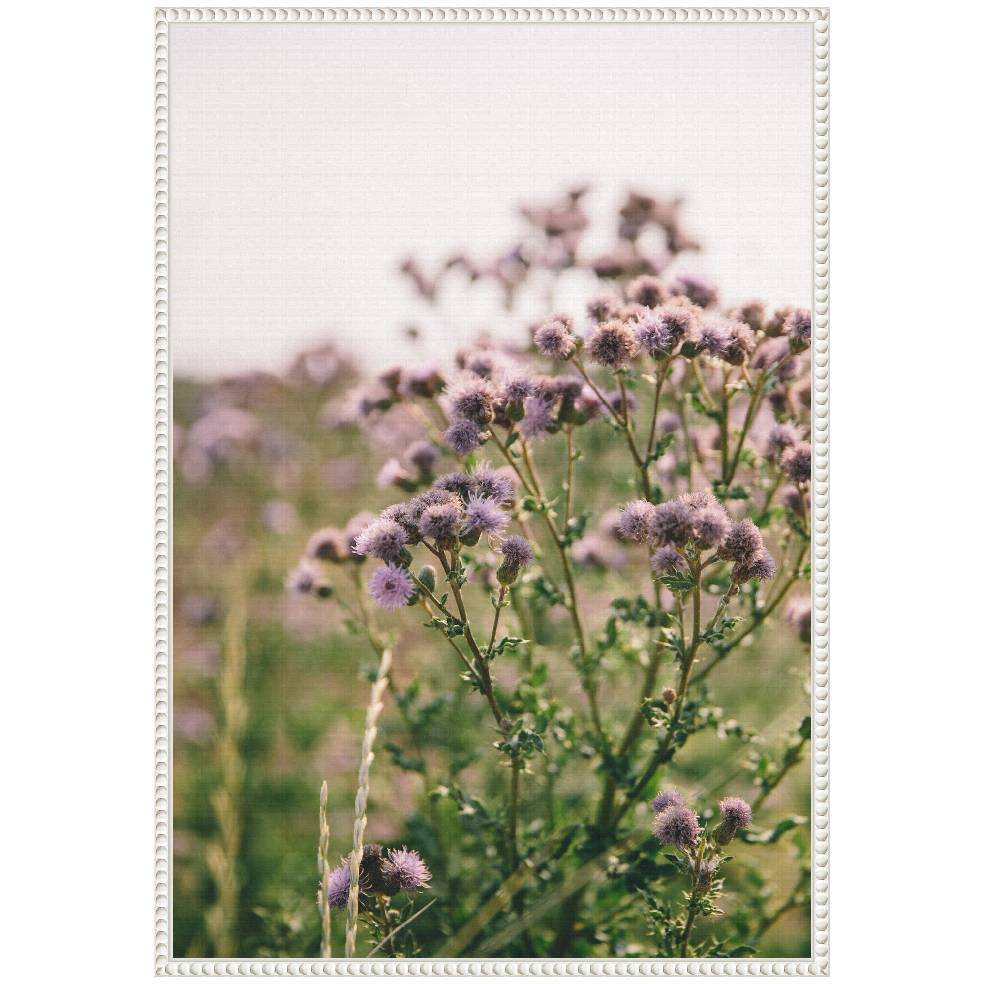 Sylvie Soft Purple Flower Blooms Framed Canvas by Patricia Hasz