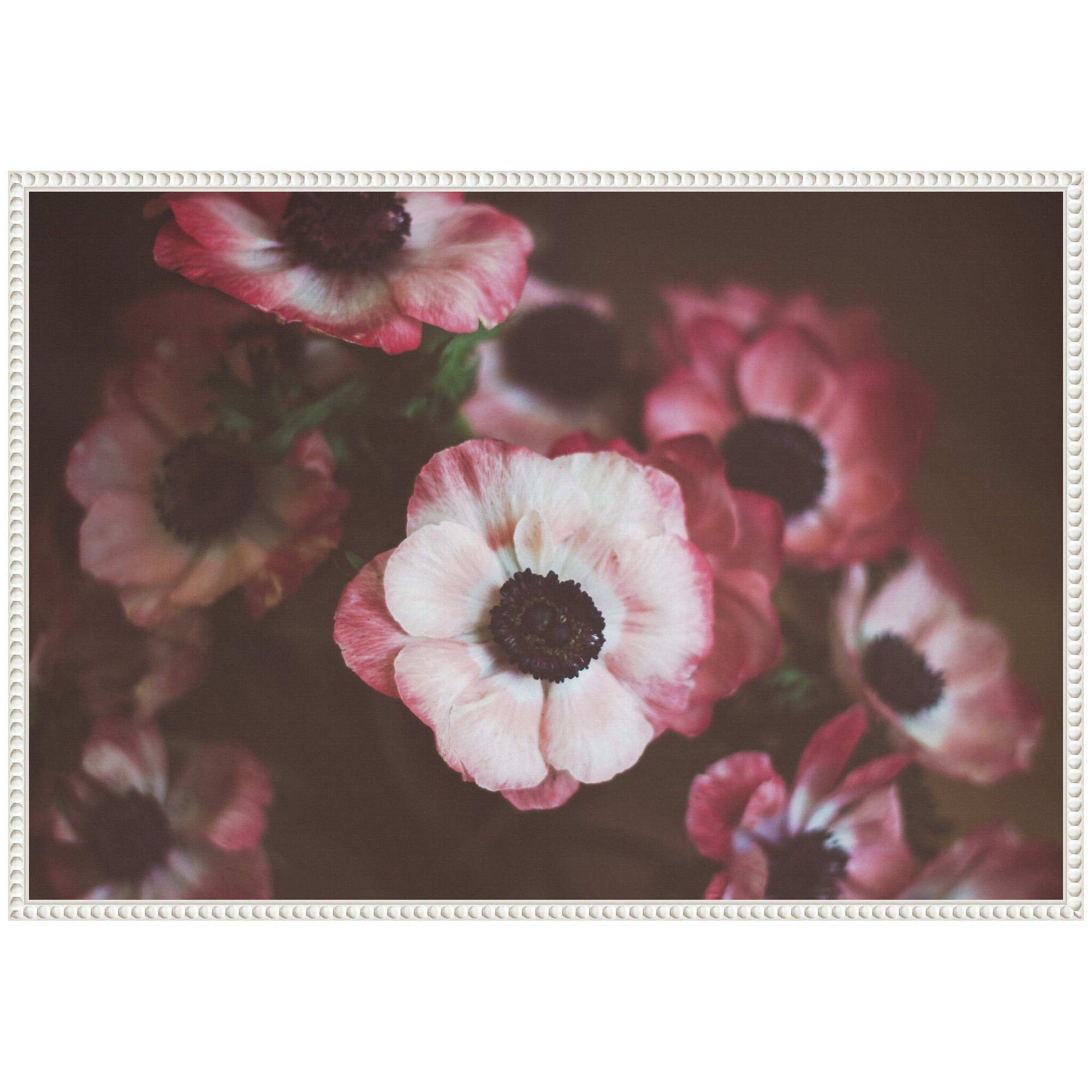 Sylvie Bouquet of Deep Pink Anemones Framed Canvas by Kristy Campbell