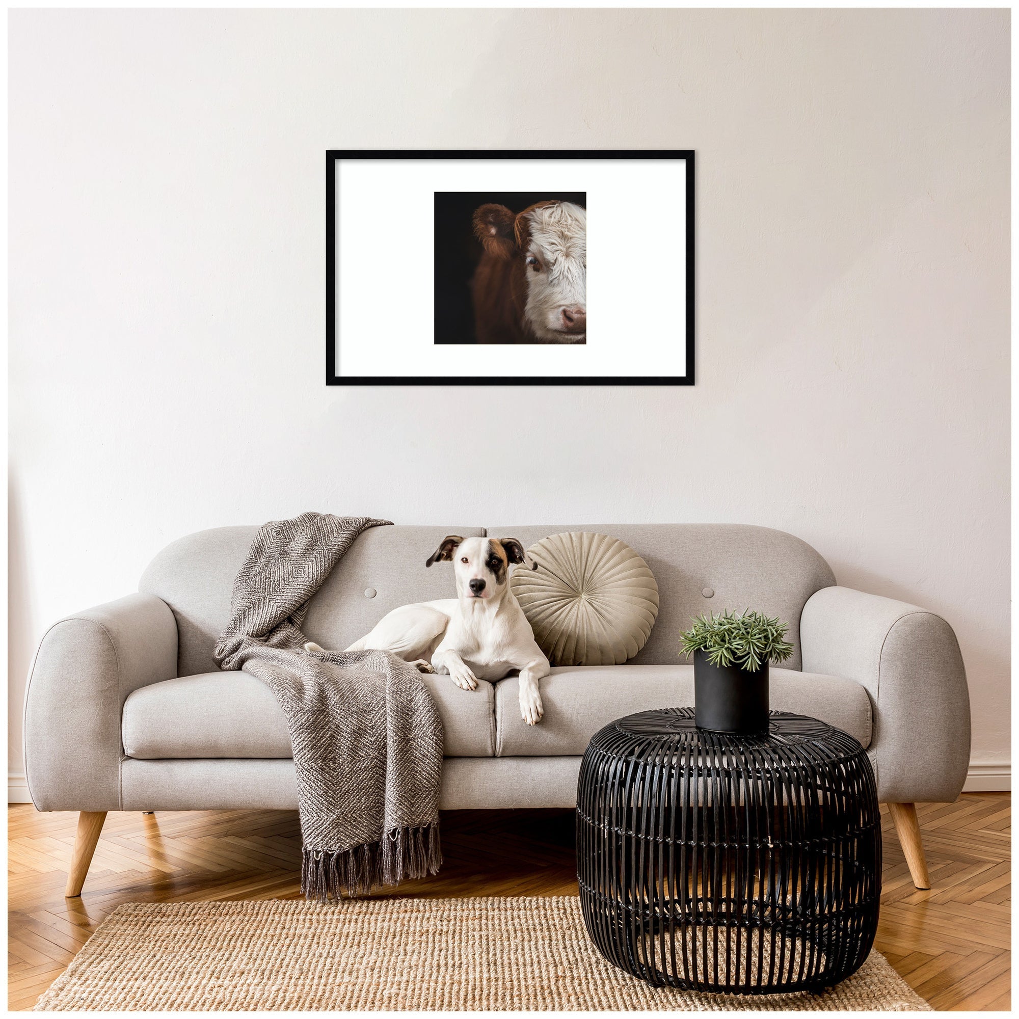 Cow Close by Emiko and Mark Franzen F2 Images Framed Wall Art Print