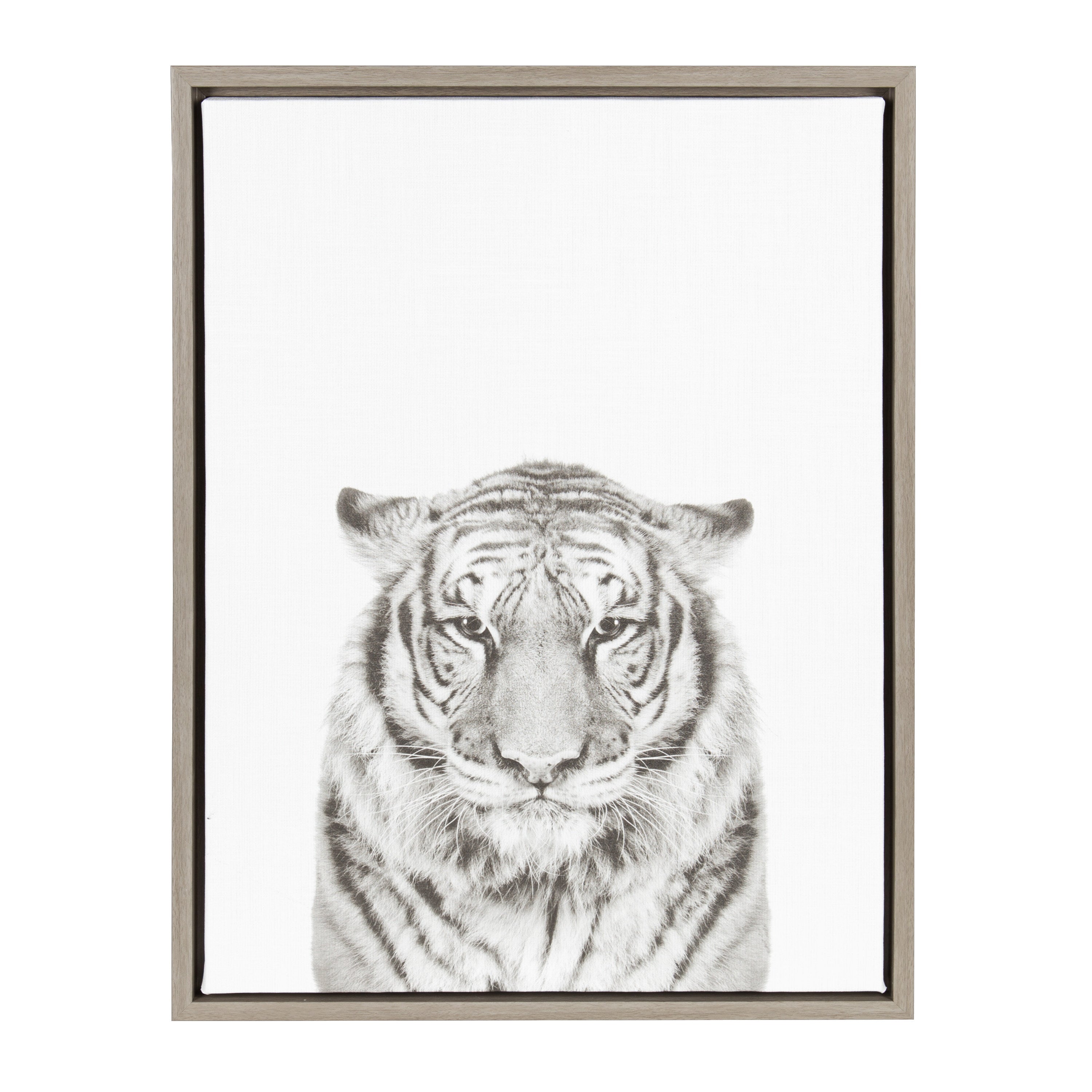 Sylvie Tiger Framed Canvas by Simon Te of Tai Prints by kateandlaurel - product image 8 for Resin Society