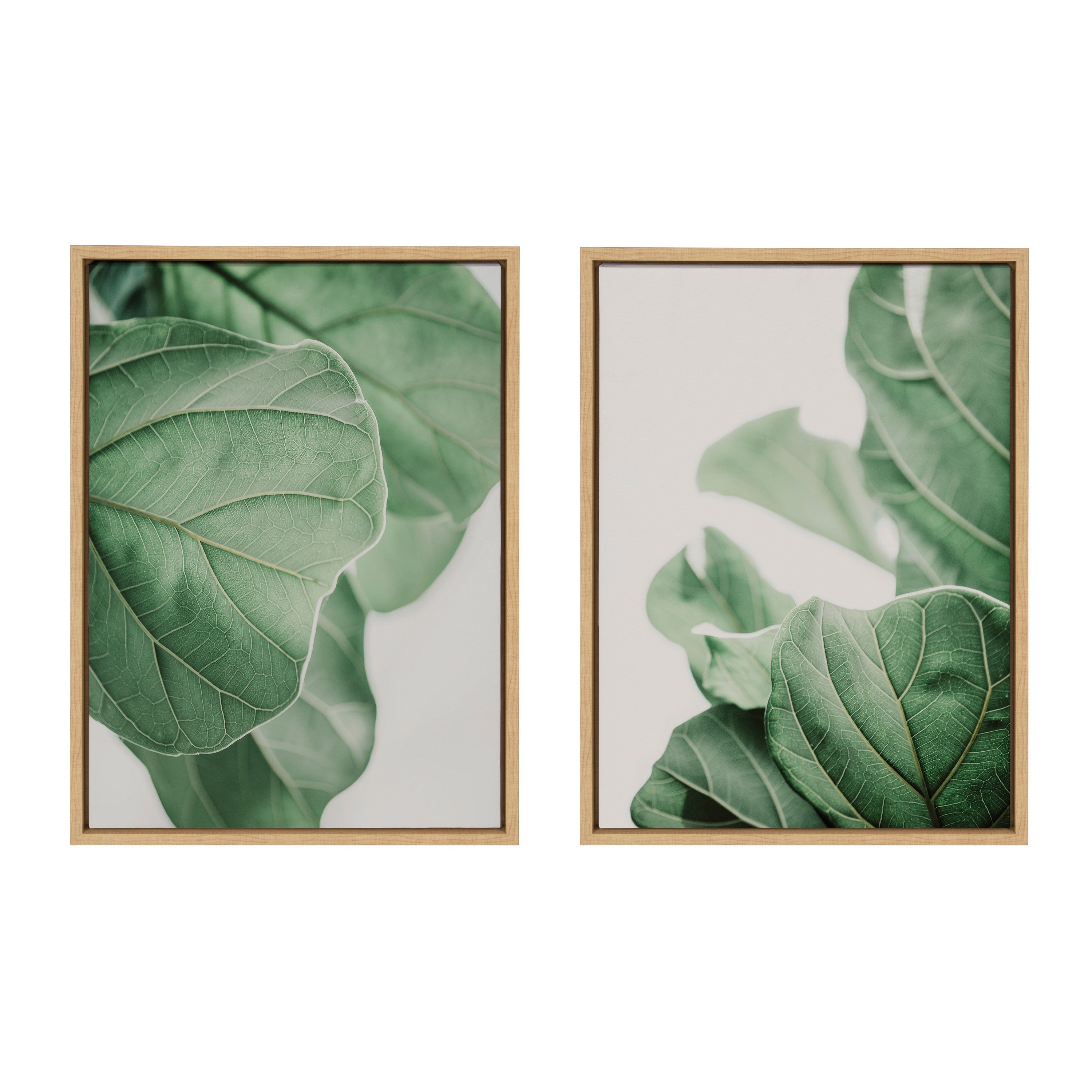 Sylvie Plant Study 6 and Plant Study 7 Framed Canvas Set by Alicia Abla by kateandlaurel - product image 13 for Resin Society