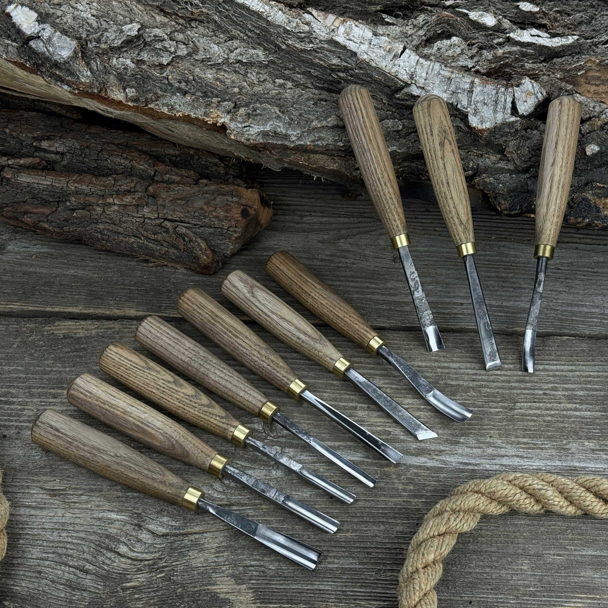 10-piece wood carving chisel and gouge set with ash wood handles and forged steel blades