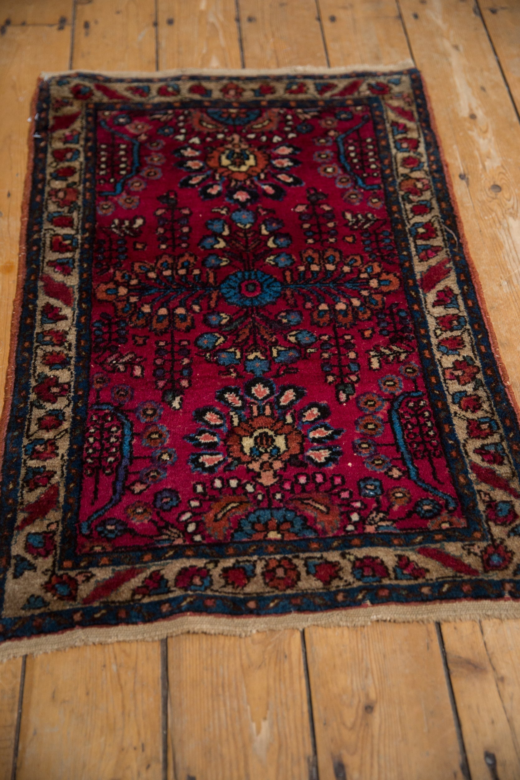 2x3 Vintage Fine Lilihan Rug Mat by Old New House® - product image 3 for Resin Society