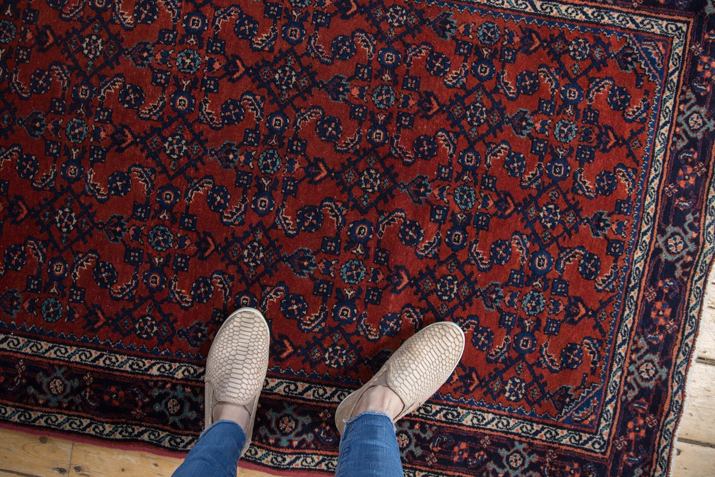 3.5x5 Vintage Fine Engelas Rug by Old New House® - product image 2 for Resin Society