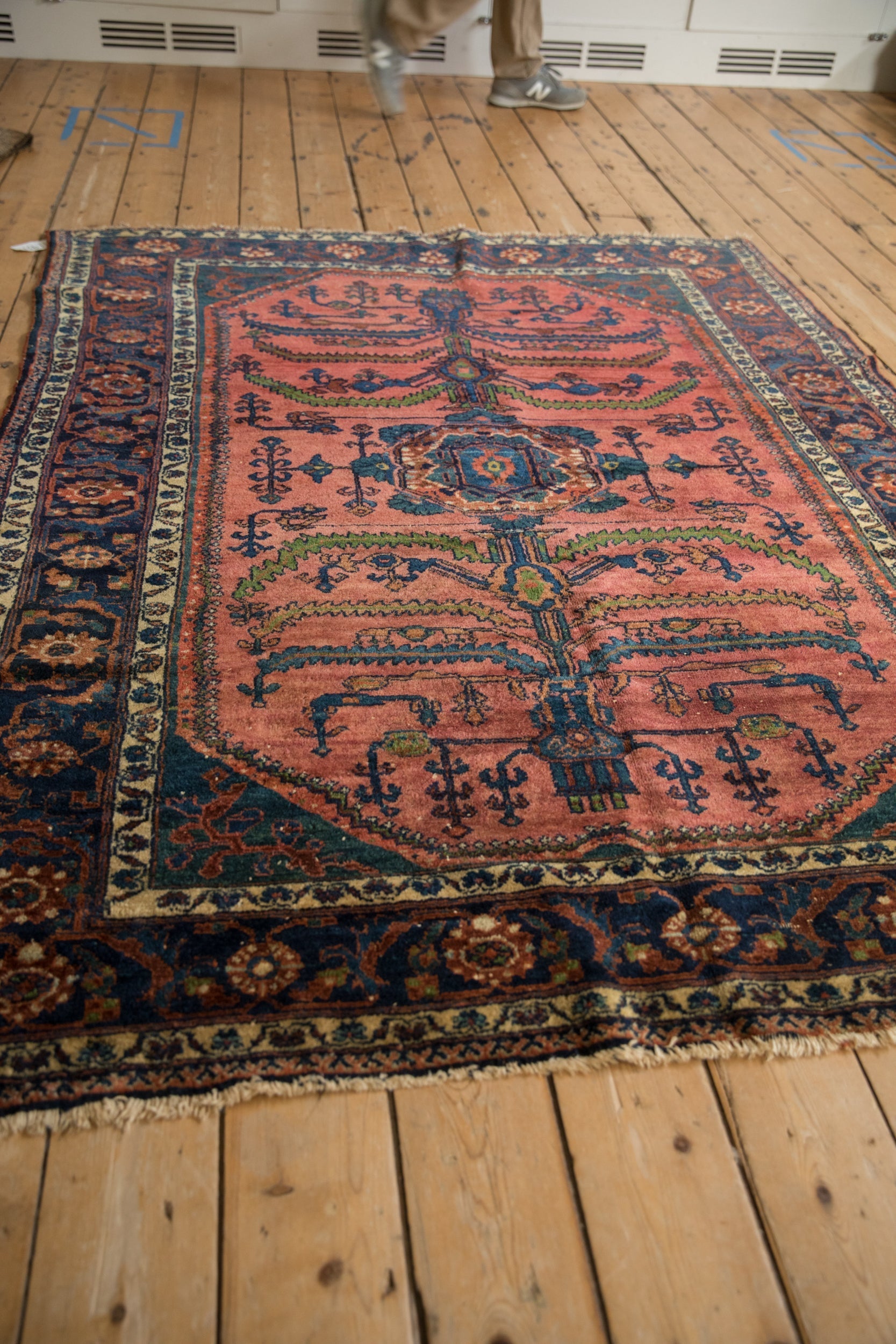 5.5x6.5 Vintage Fine Lilihan Carpet by Old New House® - product image 4 for Resin Society