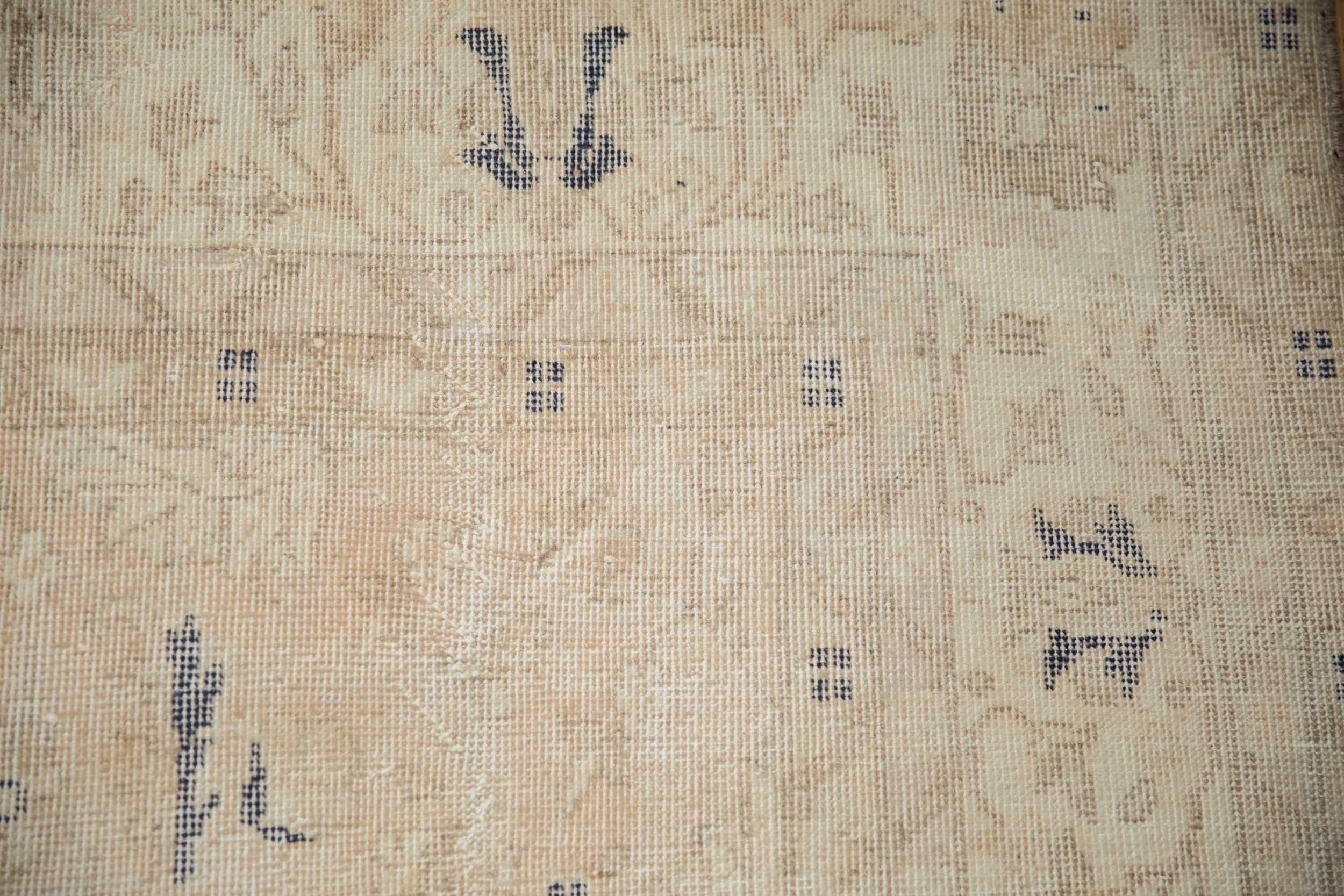6.5x10.5 Vintage Distressed Sparta Carpet by Old New House® - product image 3 for Resin Society