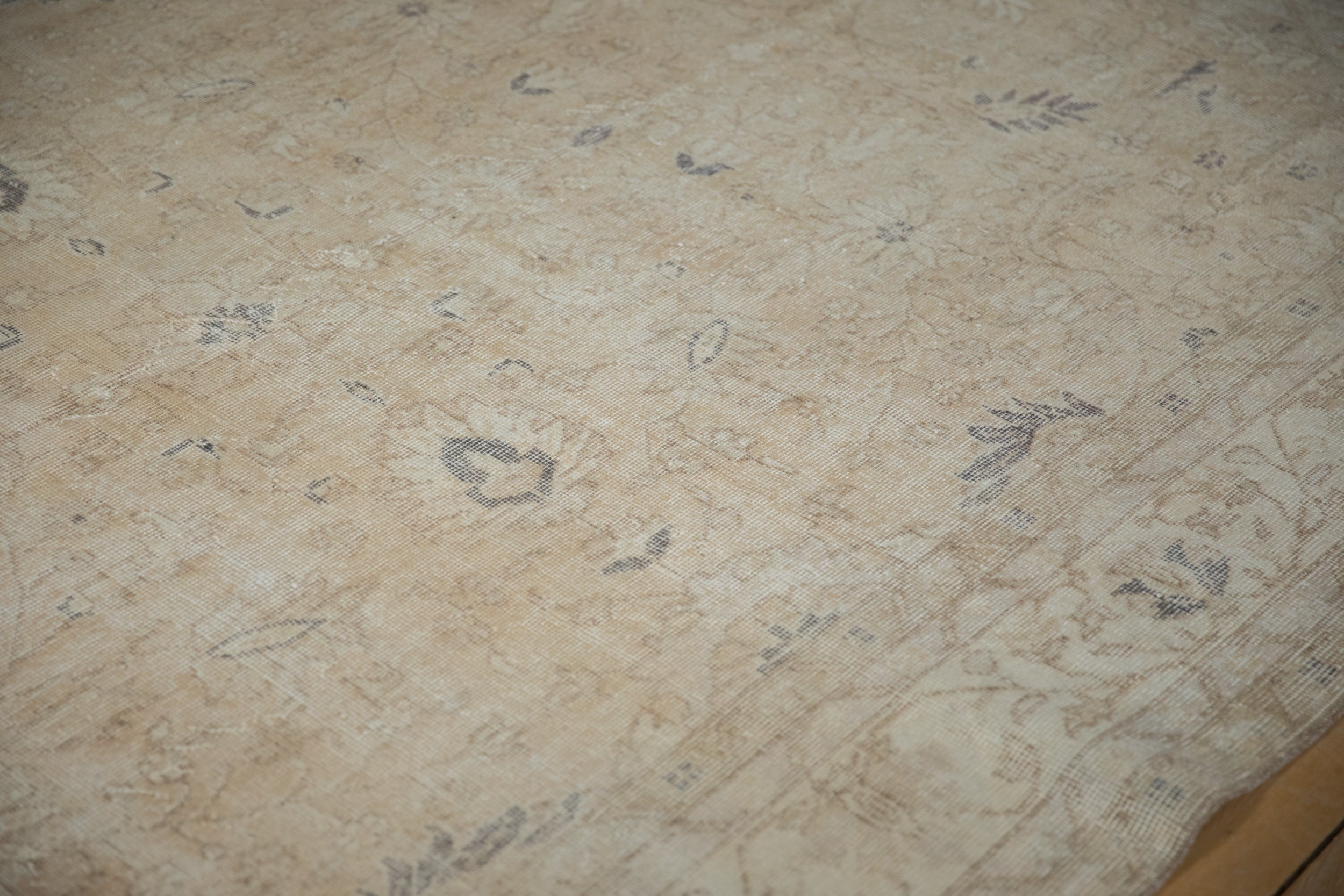 6.5x10.5 Vintage Distressed Sparta Carpet by Old New House® - product image 7 for Resin Society
