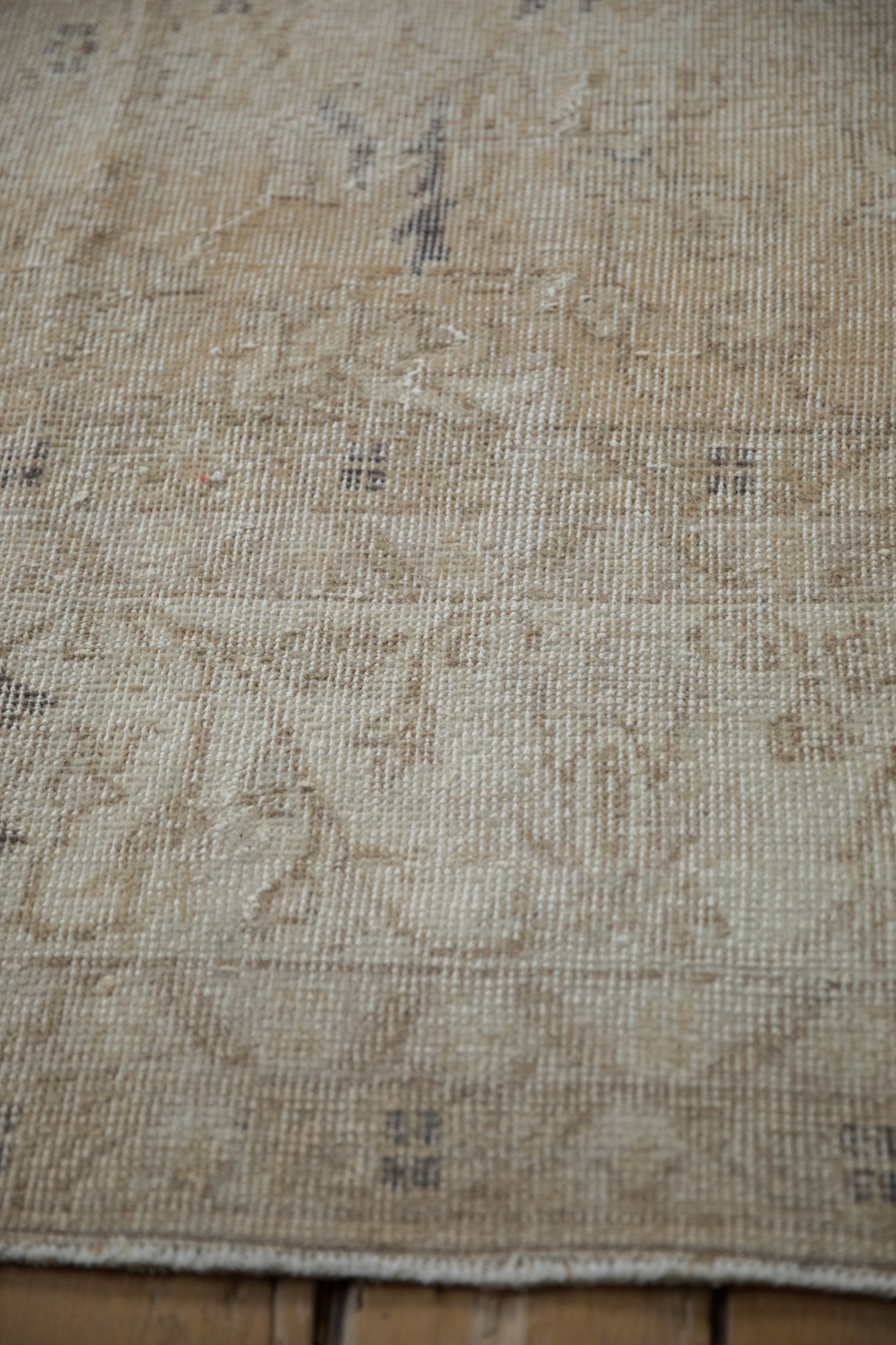6.5x10.5 Vintage Distressed Sparta Carpet by Old New House® - product image 9 for Resin Society