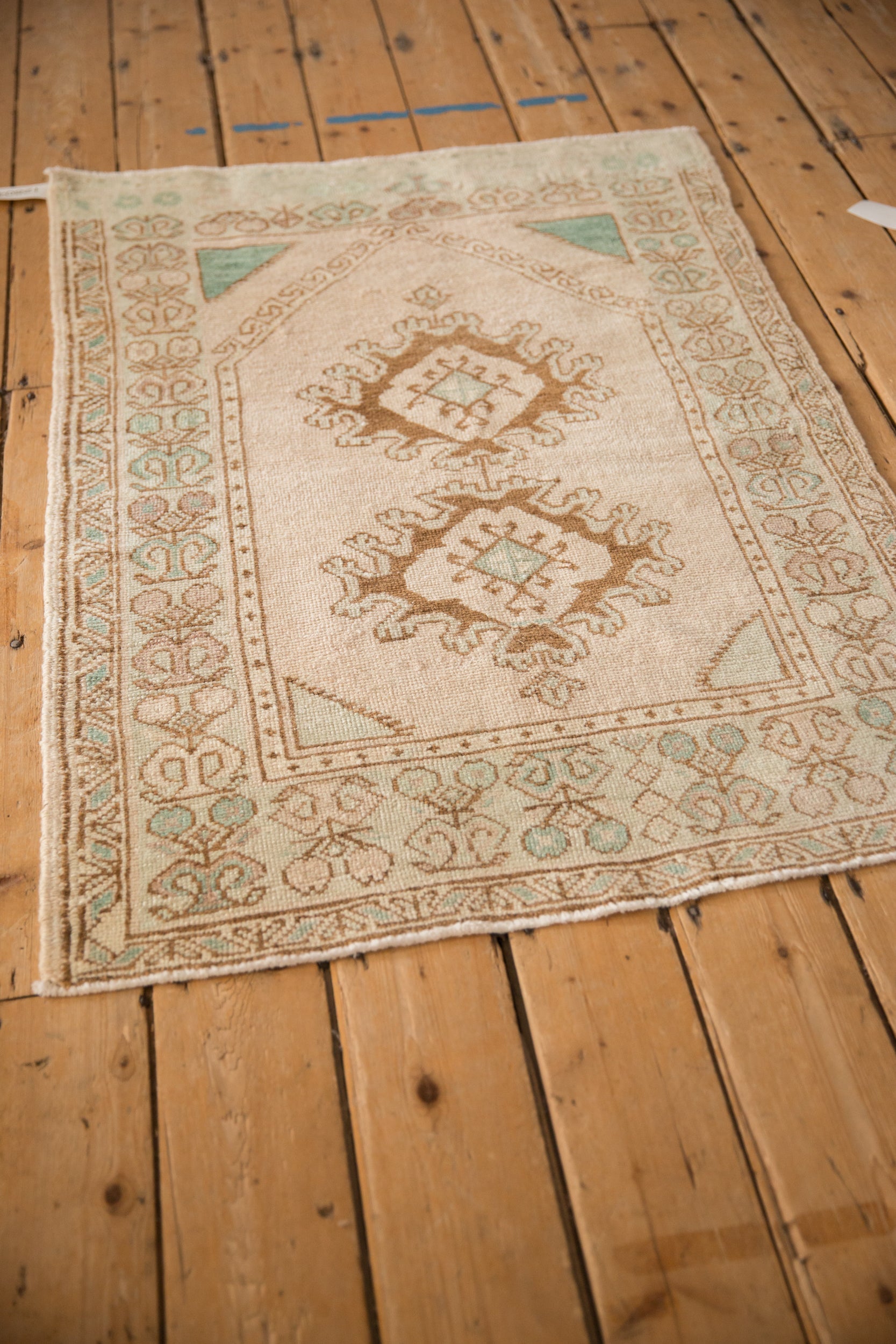 3x4.5 Vintage Distressed Oushak Rug by Old New House® - product image 4 for Resin Society