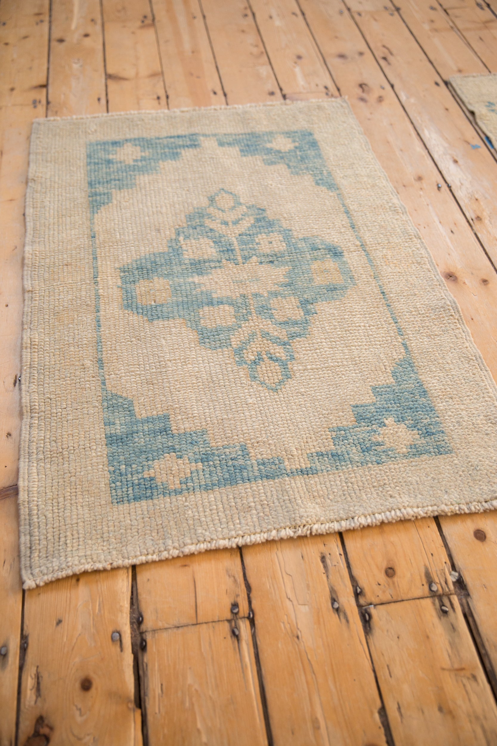 2.5x3.5 Distressed Oushak Rug by Old New House® - product image 6 for Resin Society