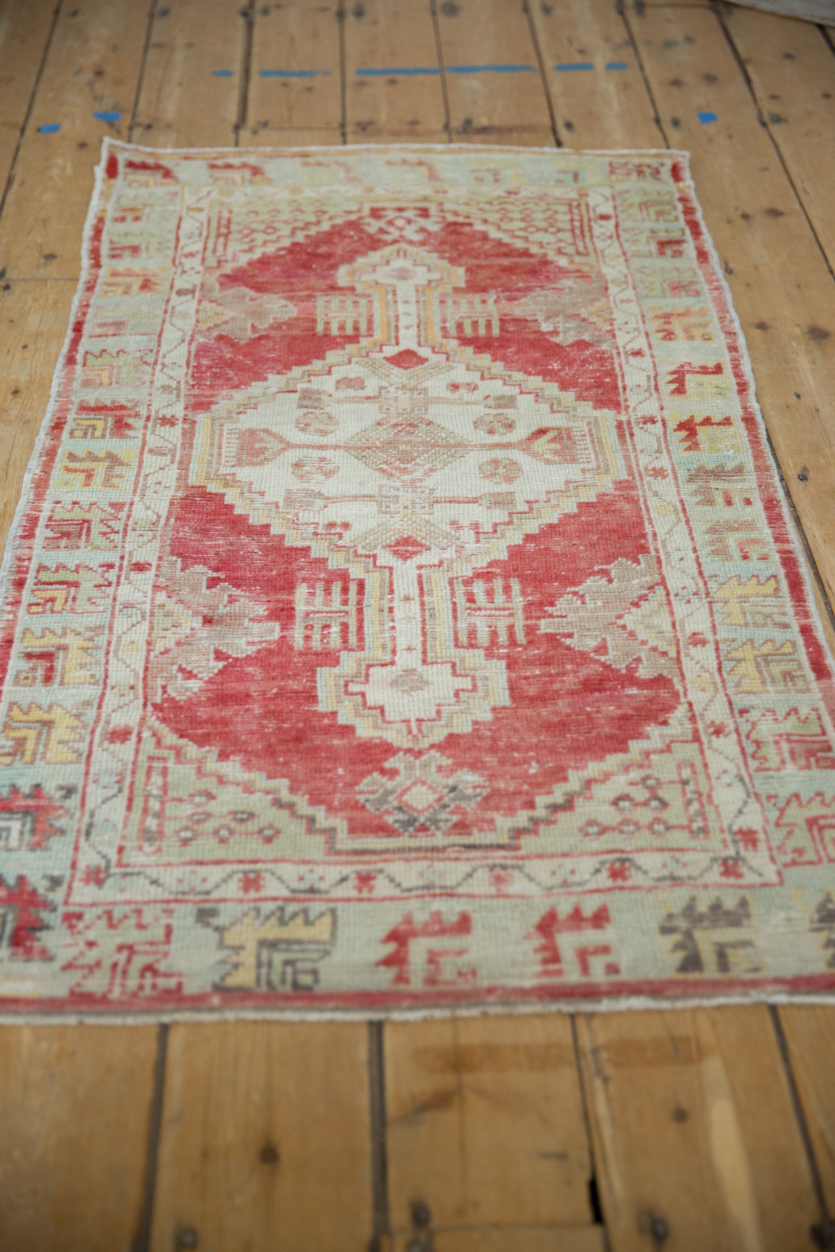 2.5x4.5 Vintage Distressed Oushak Rug by Old New House® - product image 4 for Resin Society