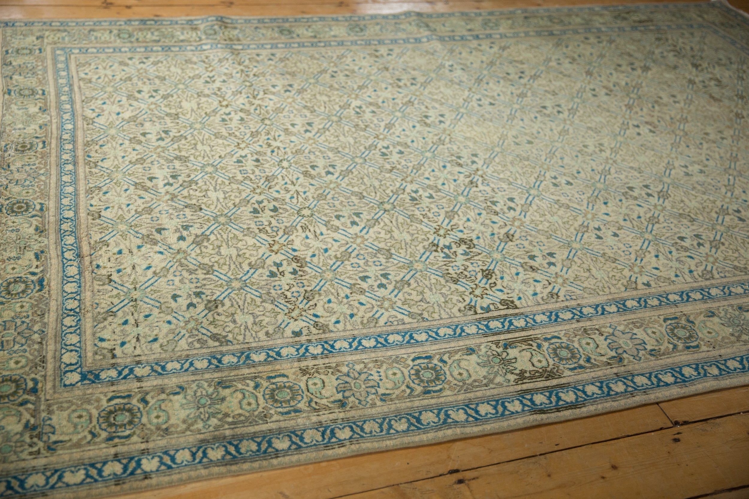 6.5x9.5 Vintage Distressed Kayseri Carpet by Old New House® - product image 6 for Resin Society